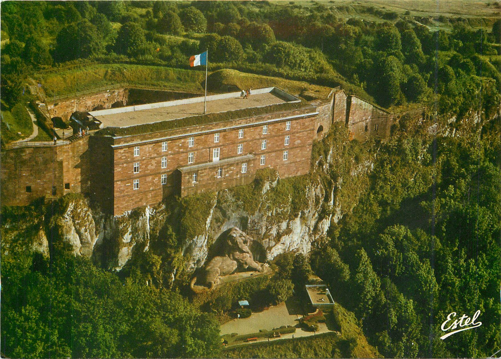 CPM Belfort (Terr de Belfort) Vue aerienne du chateau et du Lion
