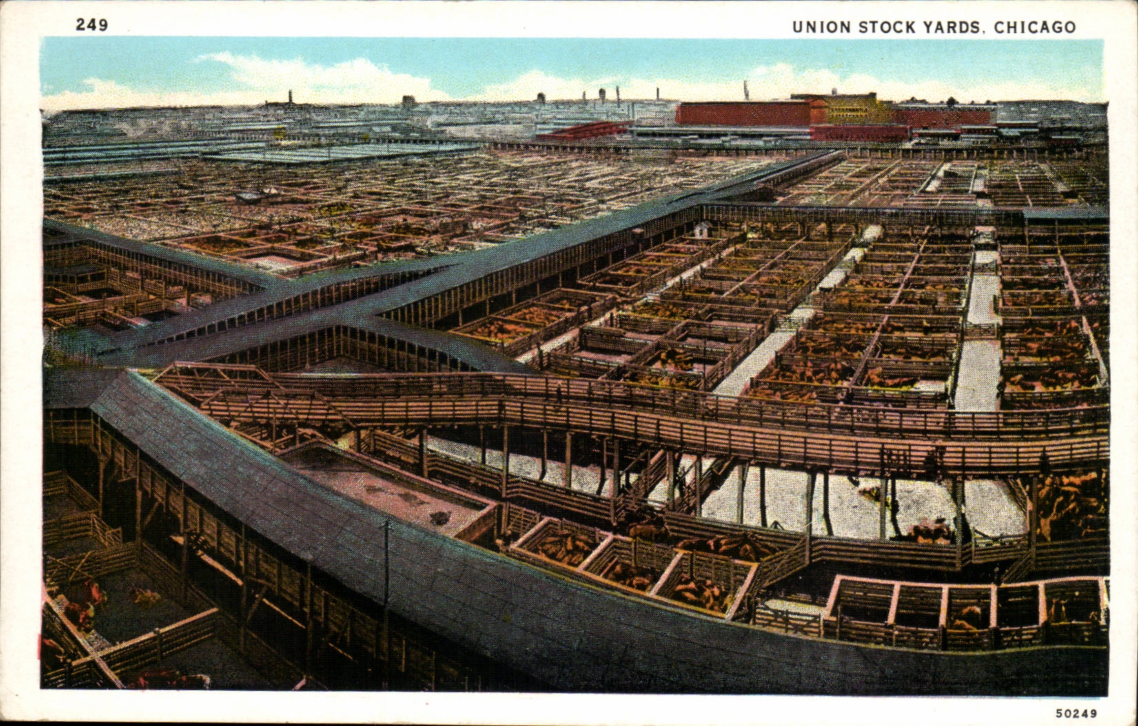 the United States CPA Union Chicago stocks