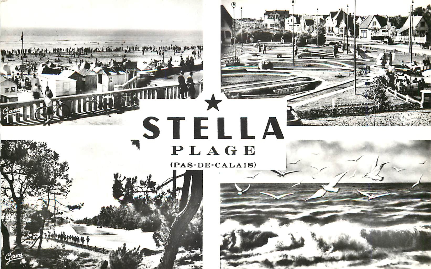 CPM Au Coeur de la Cote d'Opale Stella Plage P de C