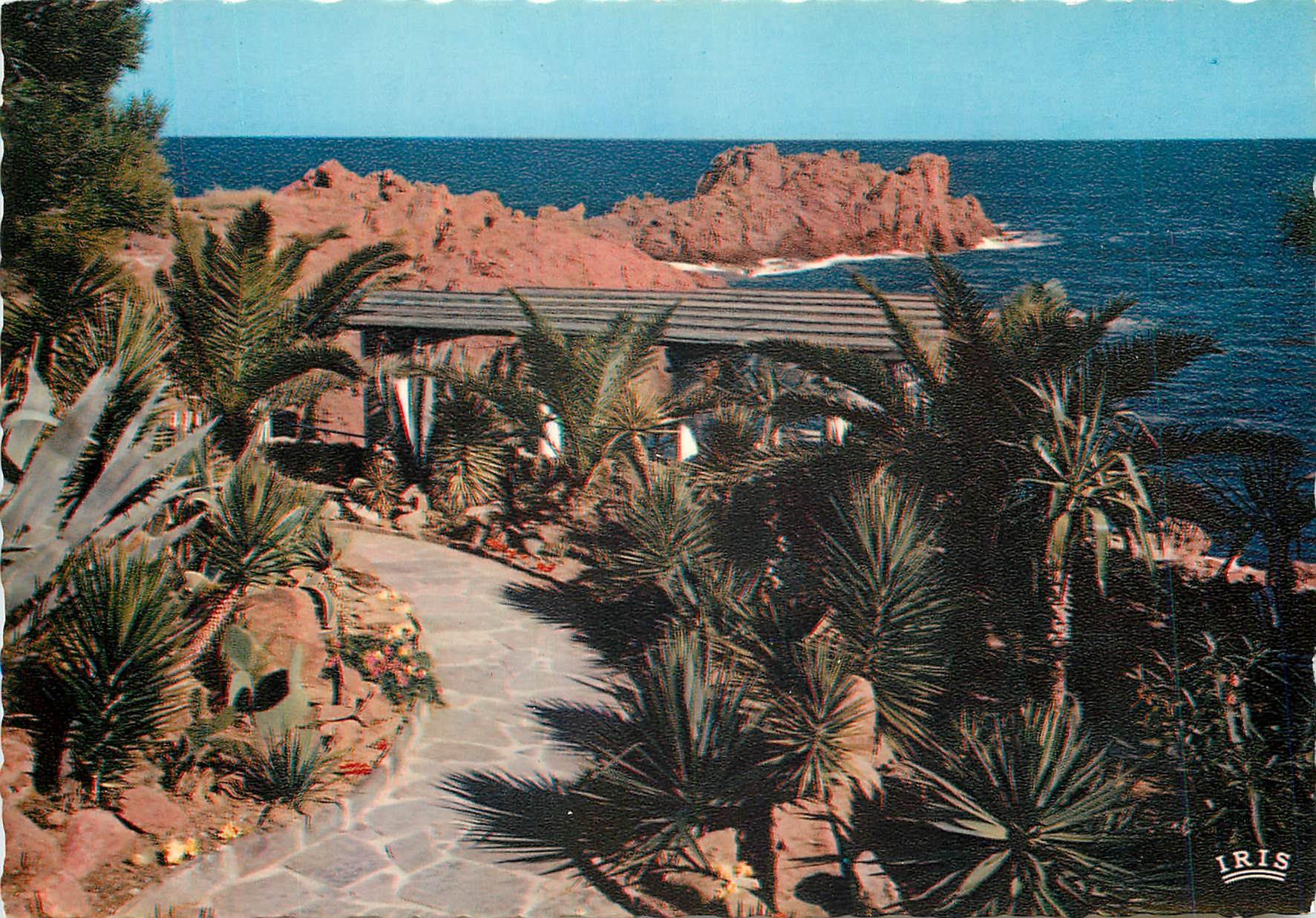 CPM La Corniche d'Or Var Paysage Mediterraneen