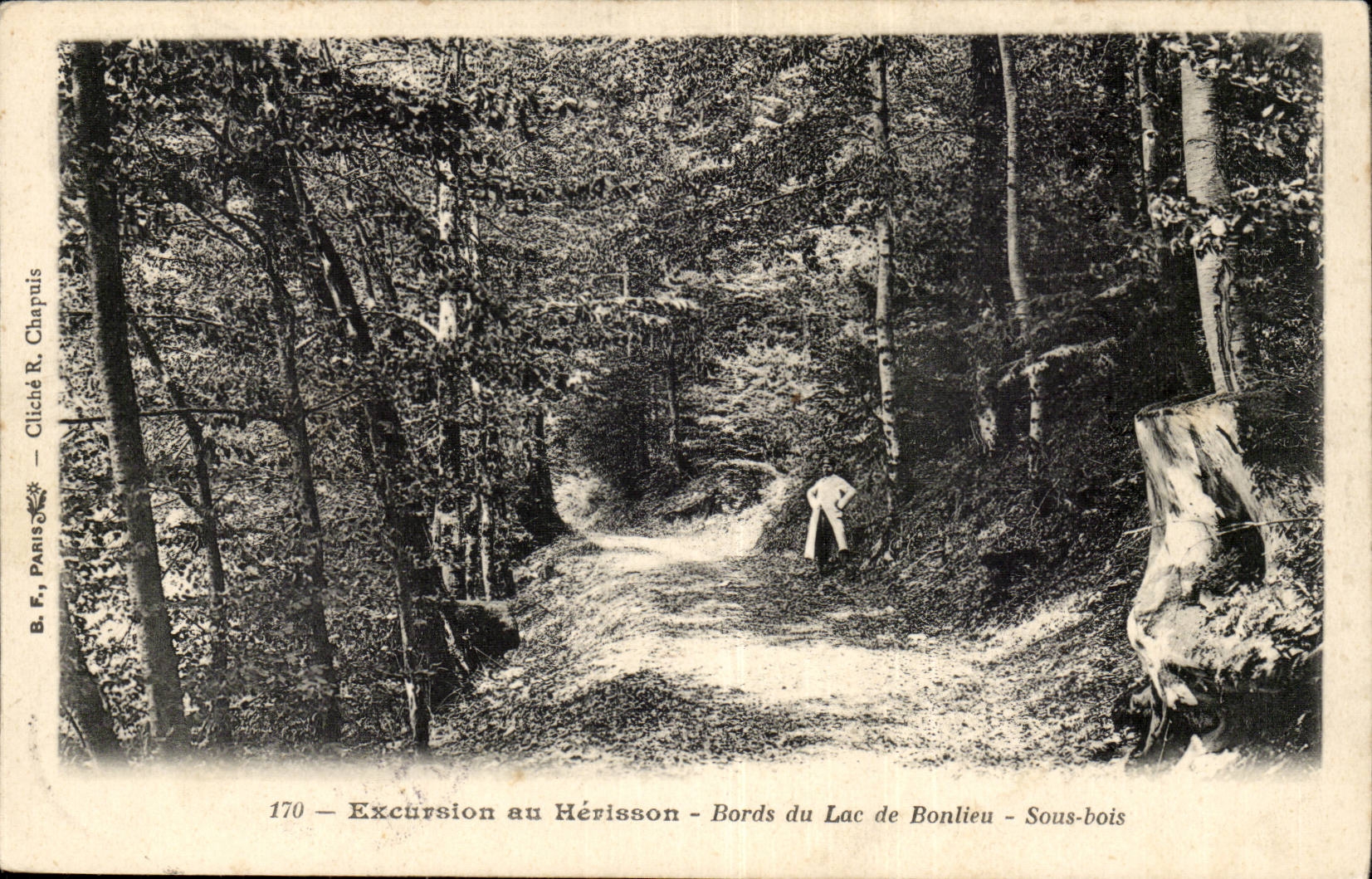 Excursion with the Hedgehog Edges of the Lake Bonlieu-Under-wood - CPA