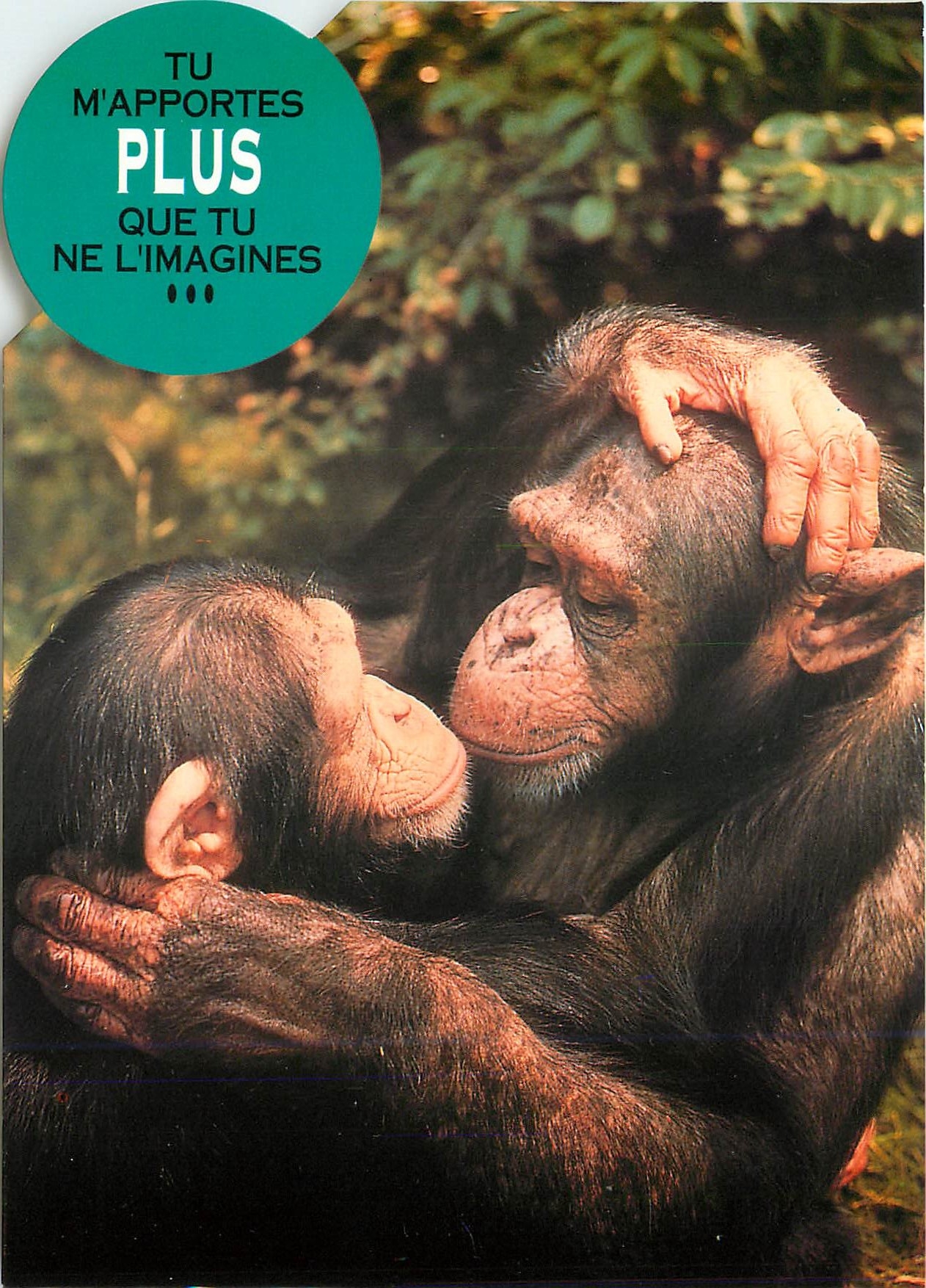 CPM Tu m'apportes que tu ne l'imagines