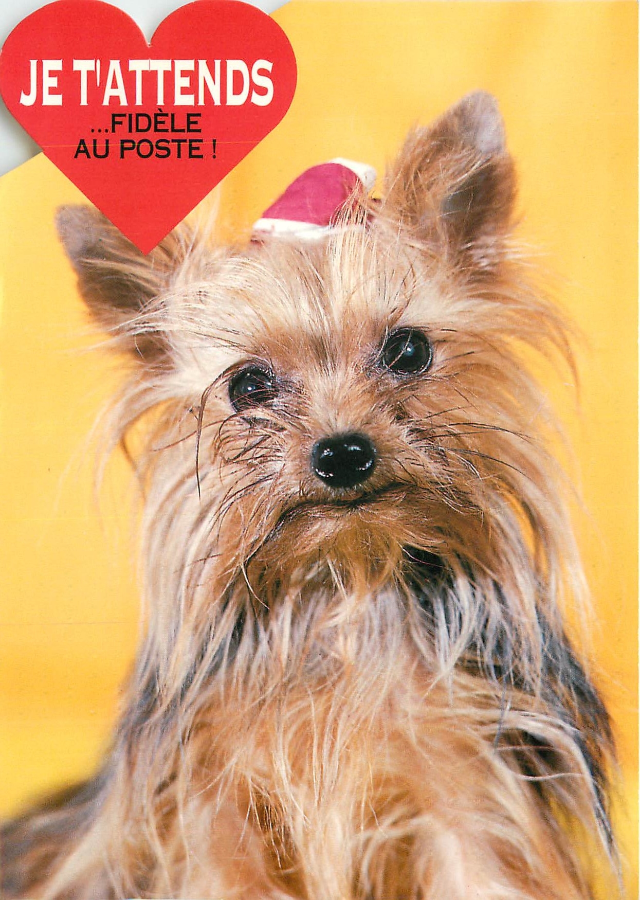 CPM Je t'attends fidele au poste