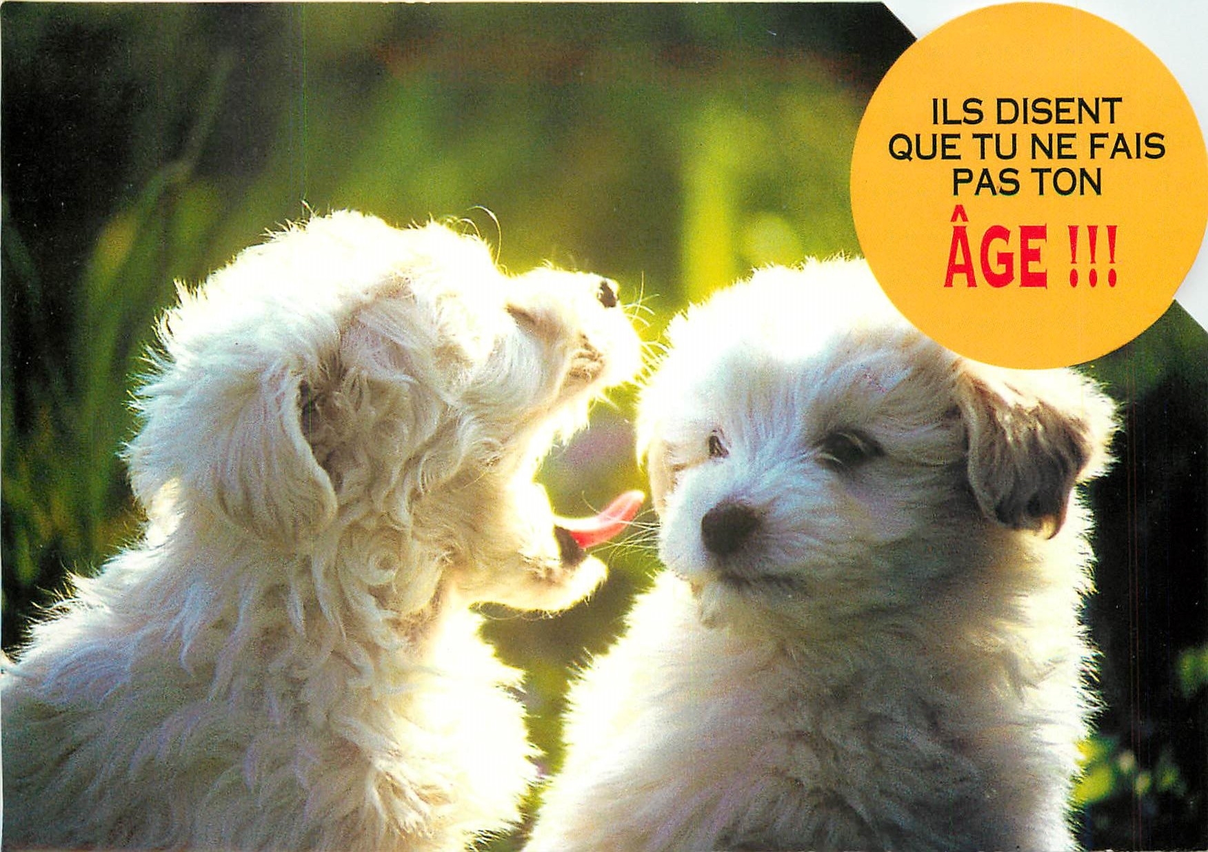 CPM Il disent que tu ne fais pas ton Age