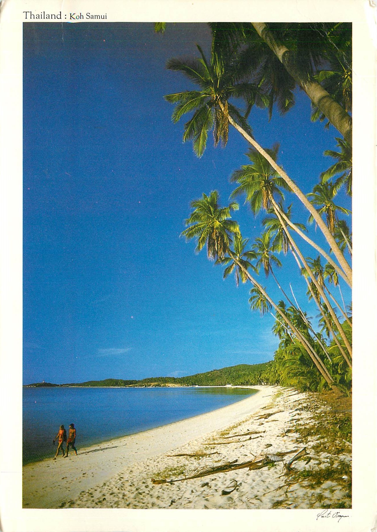 CPM Thailand Kh Samui