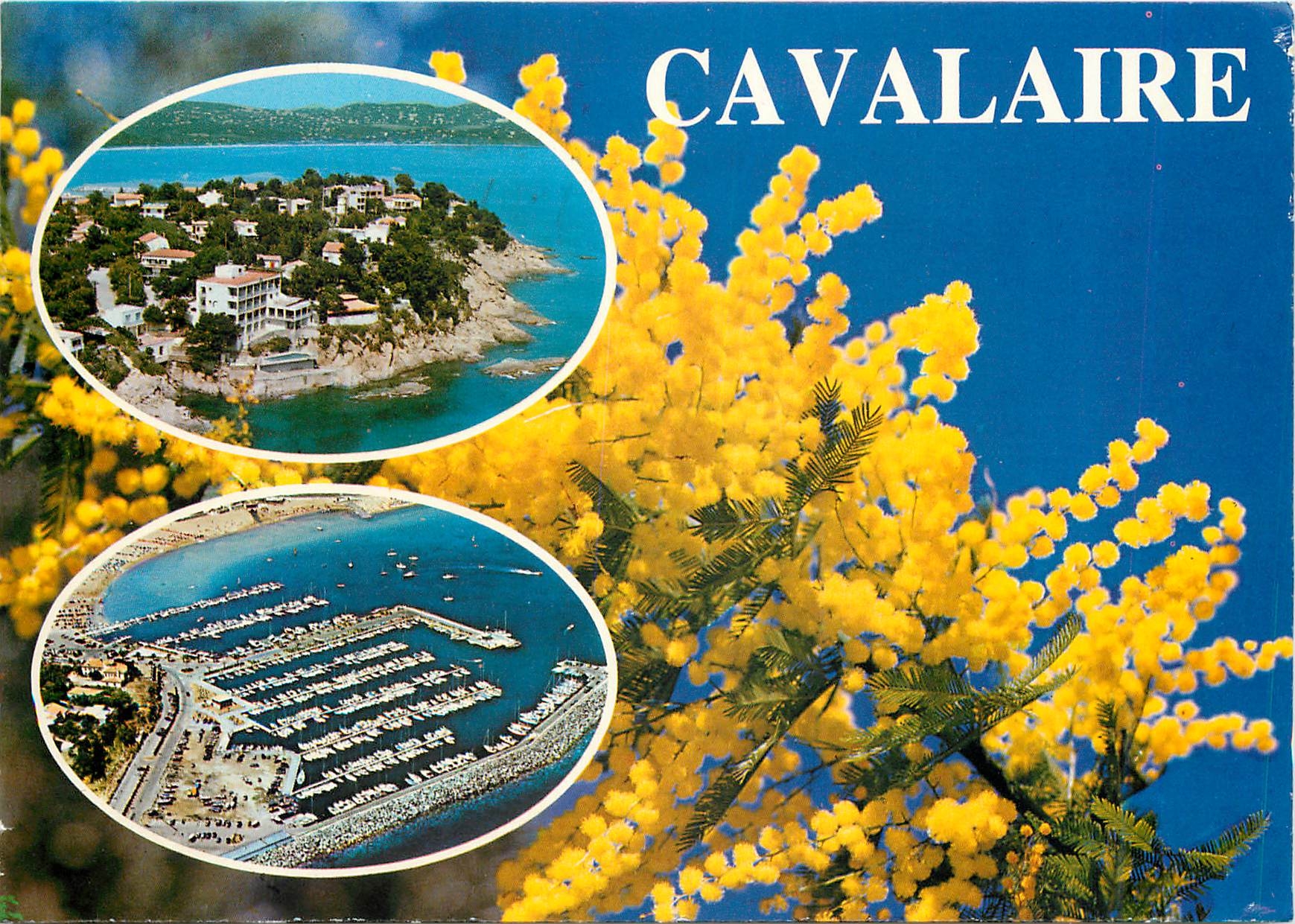 CPM Cote Varoise Souvenir de Cavalaire