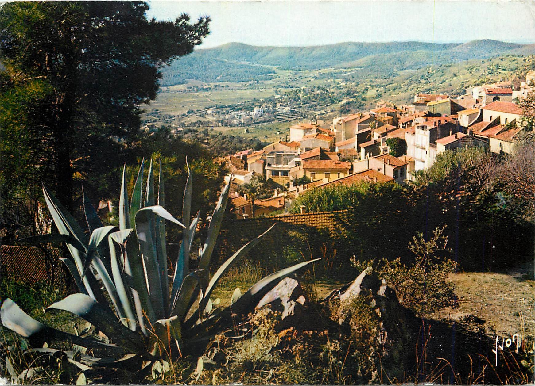 CPM La Cote d'Azur miracle de la nature Bormes les Mimosas (Var)