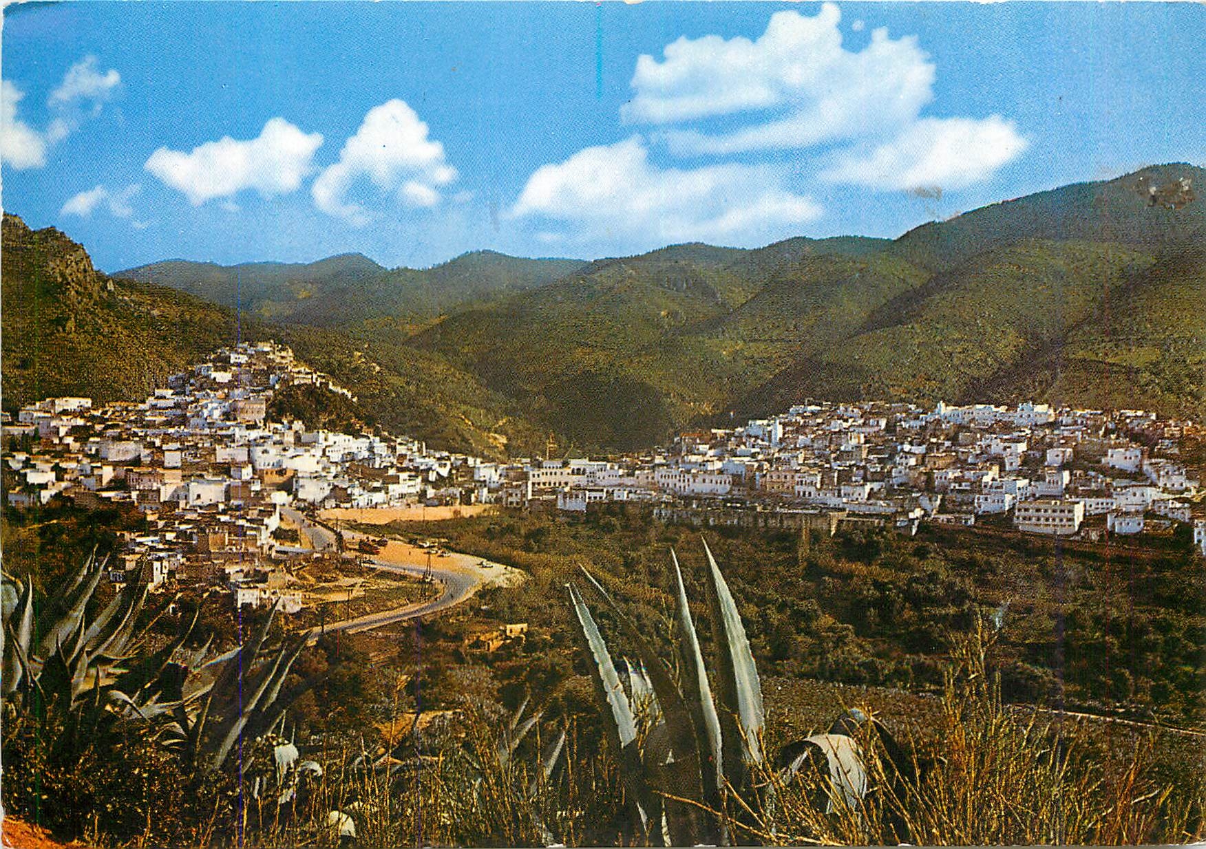 CPM Maroc Moulay Idriss Zerhoun Vue panoramque