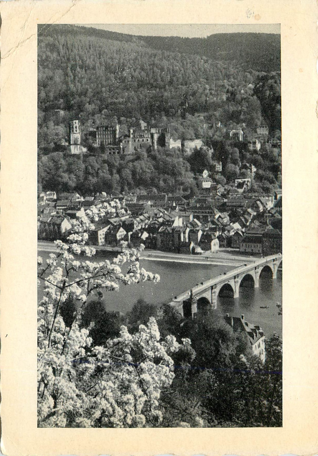 CPM Heidelberg im Friihling