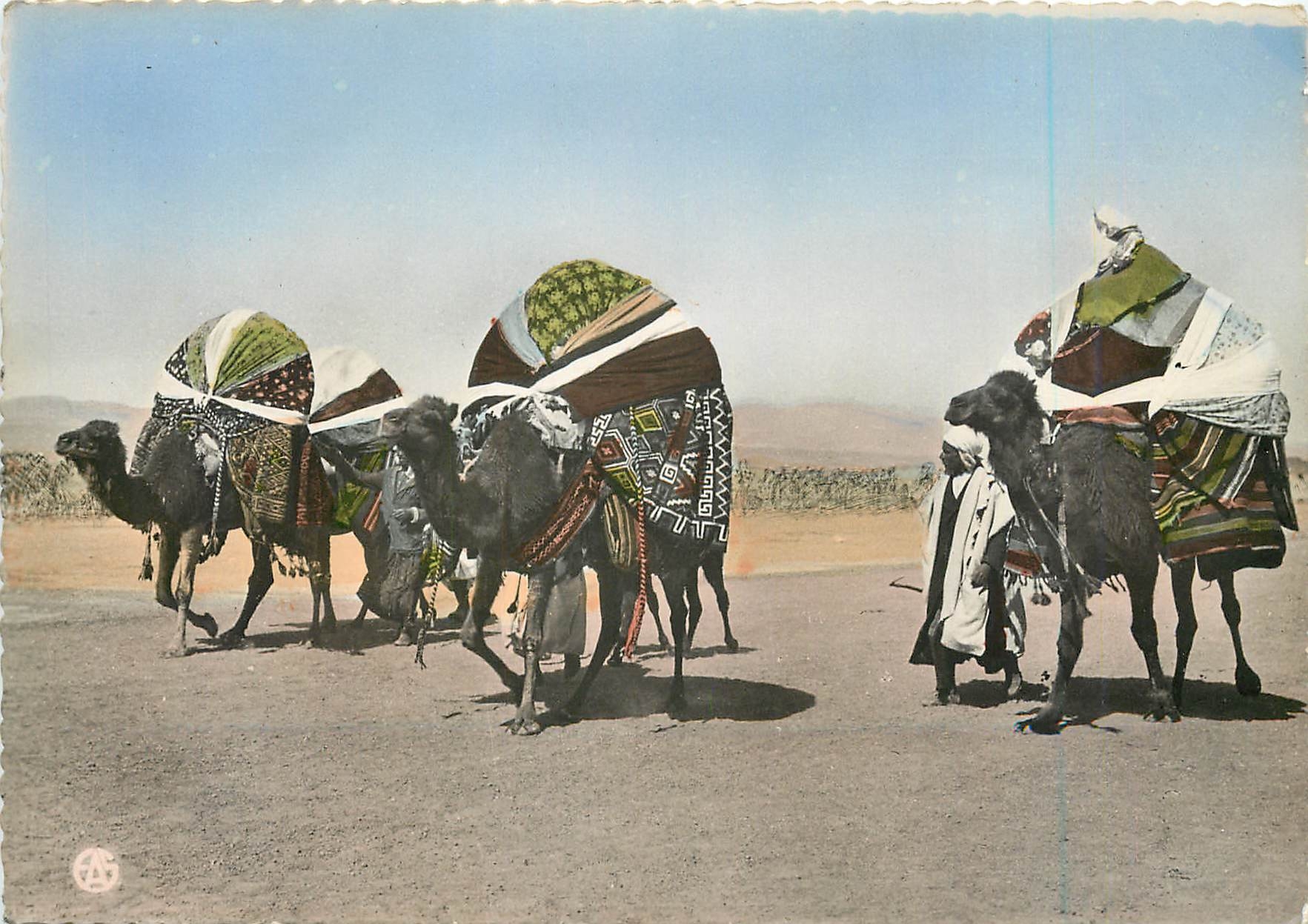 CPM Scenes Types d'Afrique du Nord les Bassours Chameaux