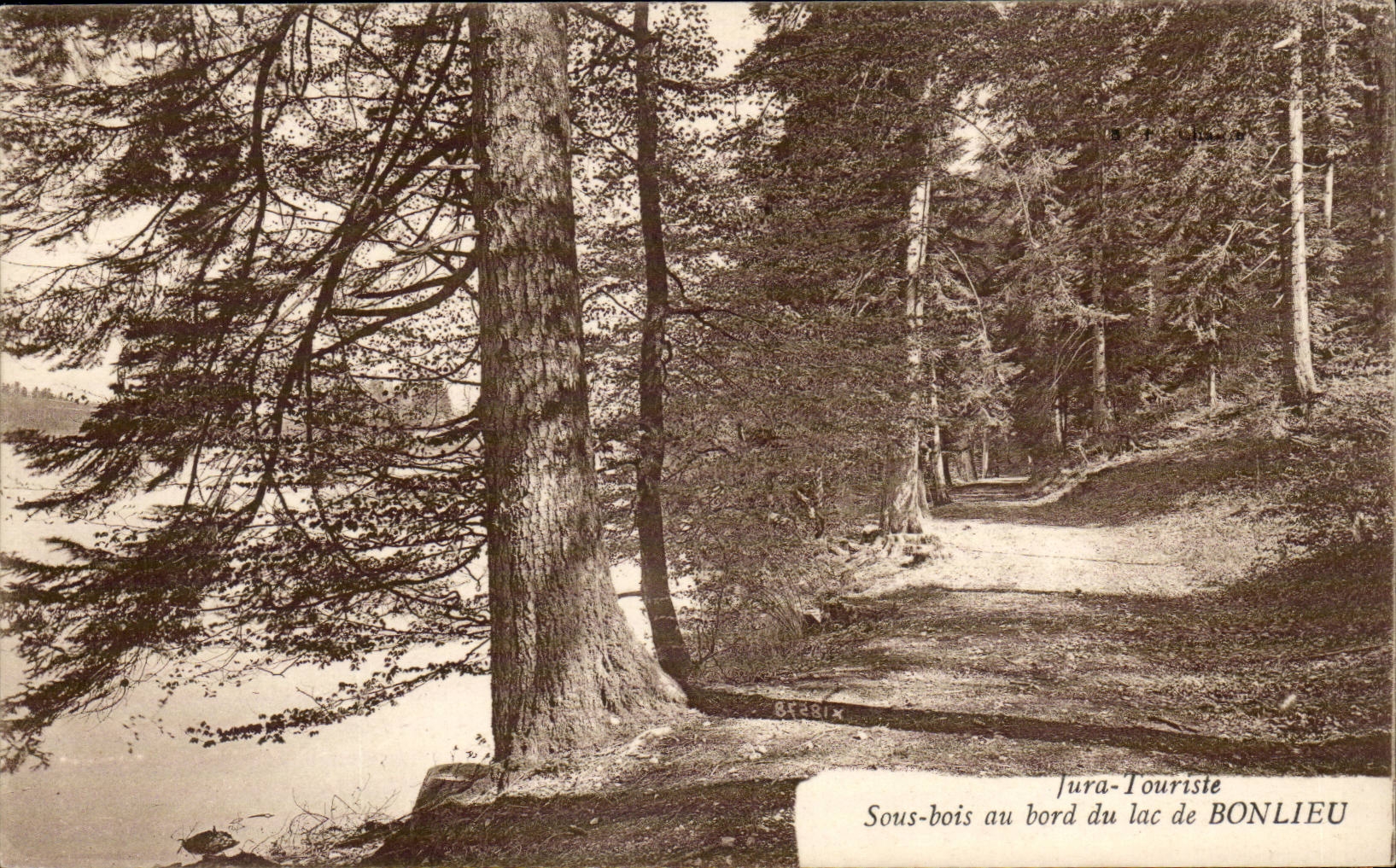 Jura-tourist Bonlieu- Underwood at the edge of the Lake-CPA