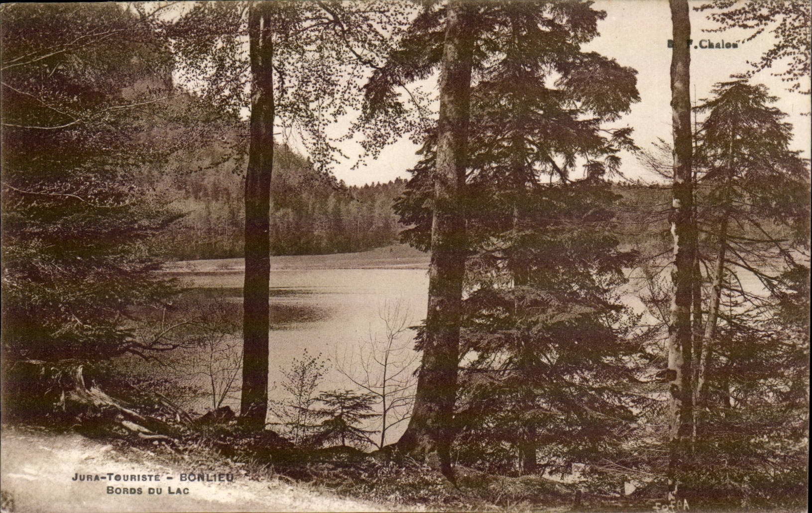 Bonlieu Jura-tourist - Edges of the Lake-CPA