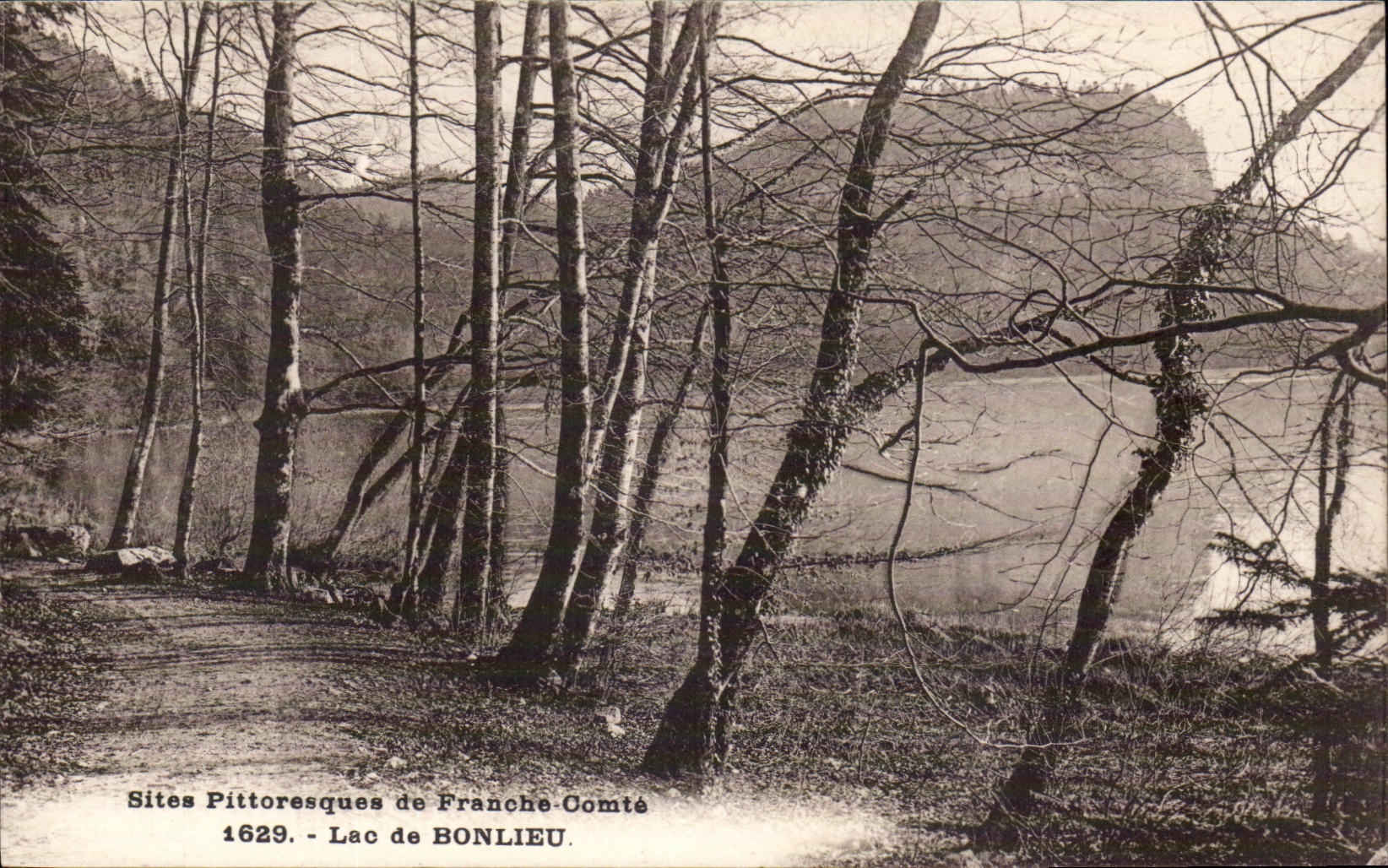 Bonlieu Jura-tourist - Edges of the Lake-CPA
