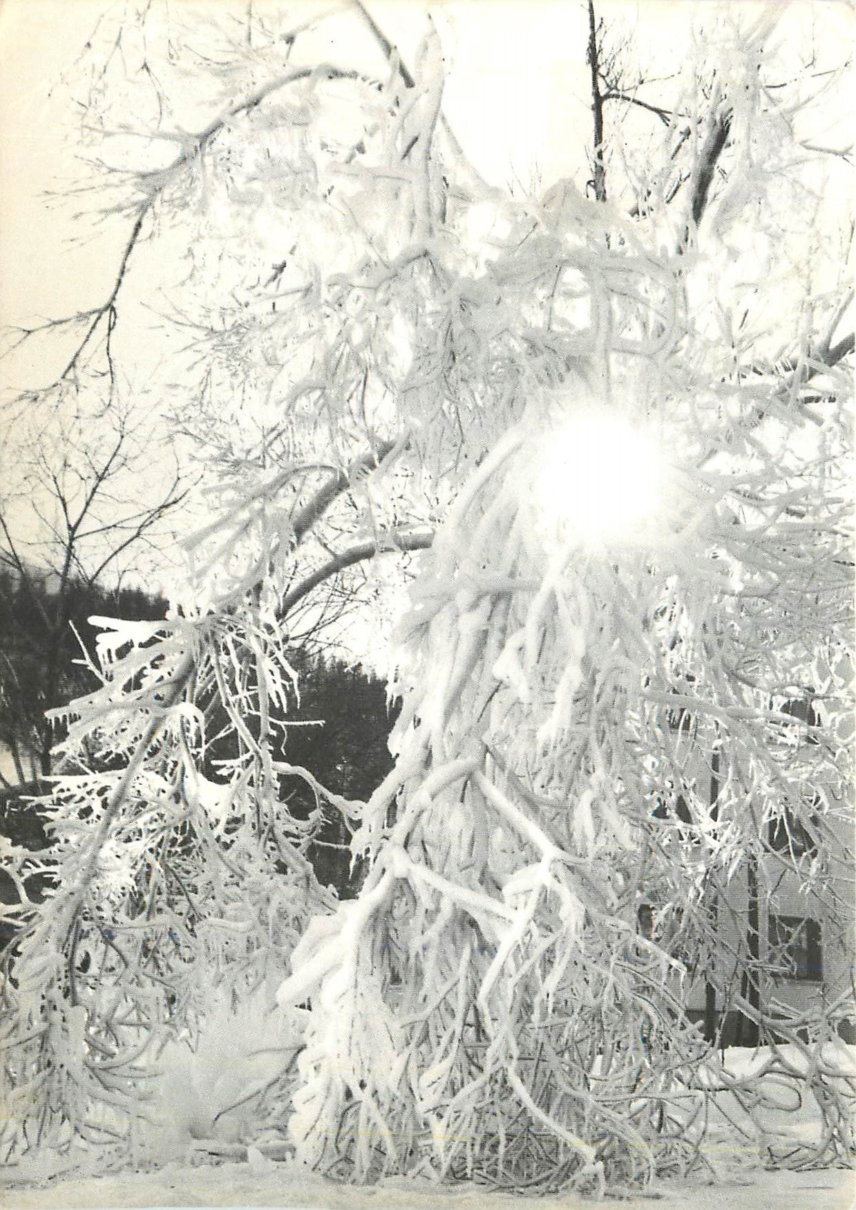 CPM Soleil et Glace par Grange 