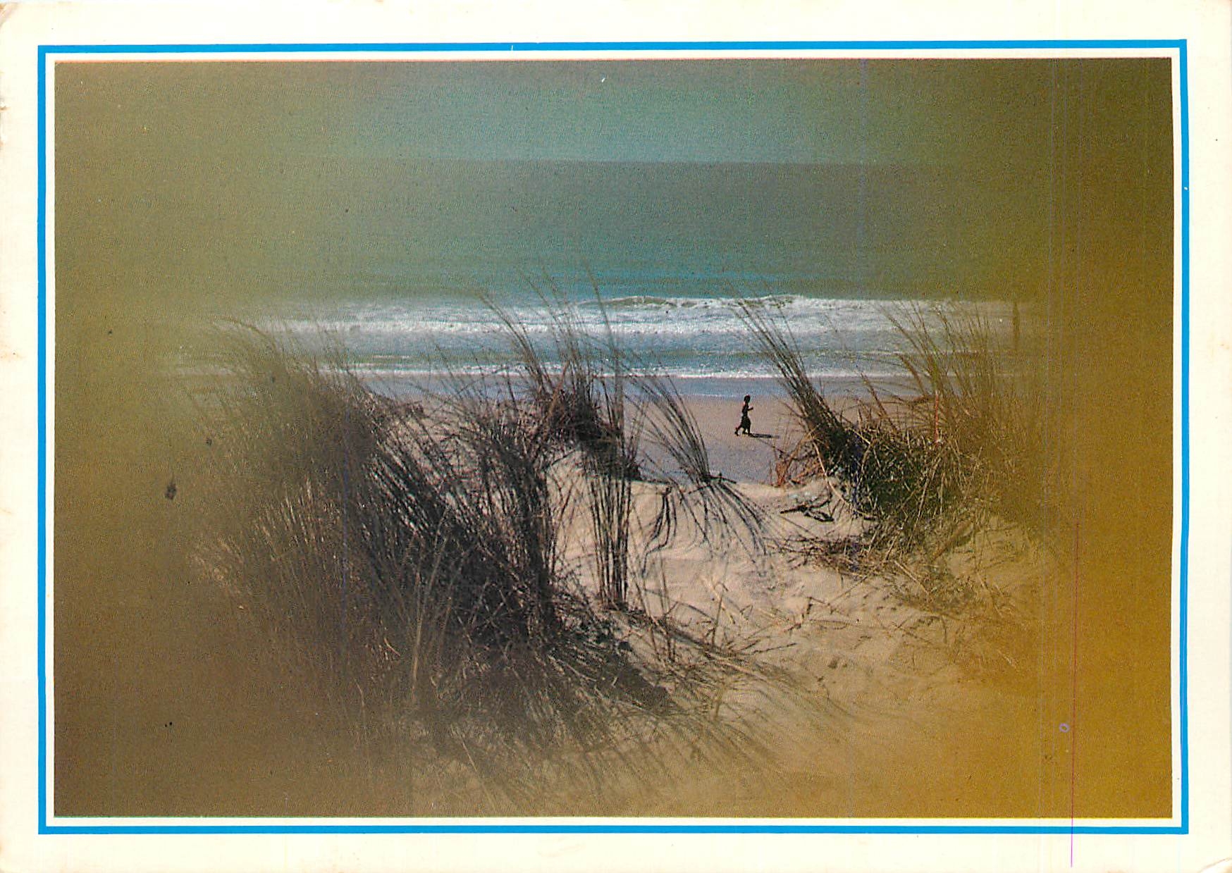 CPM PP Les dunes et l'Ocean 