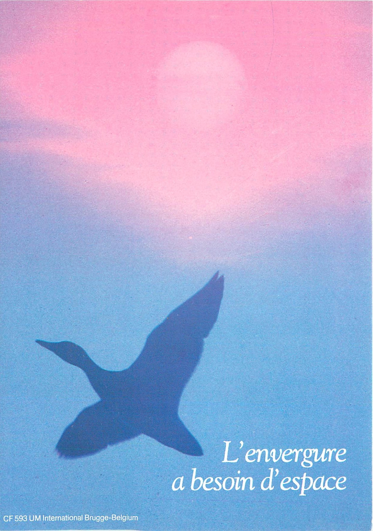 CPM L'envergure a besoin d'espace 