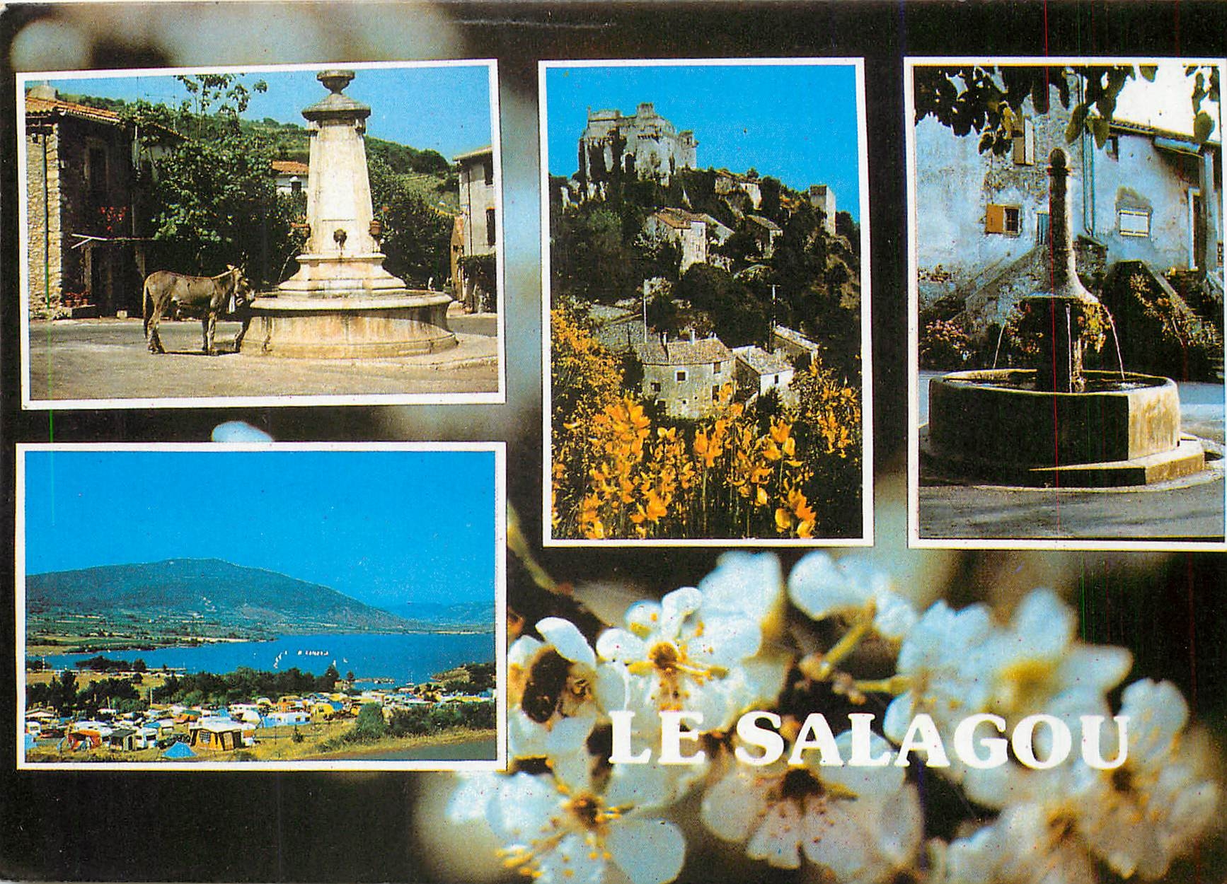 CPM Lumiere et Couleurs de l'Herault La lac du Salagou et ses environs