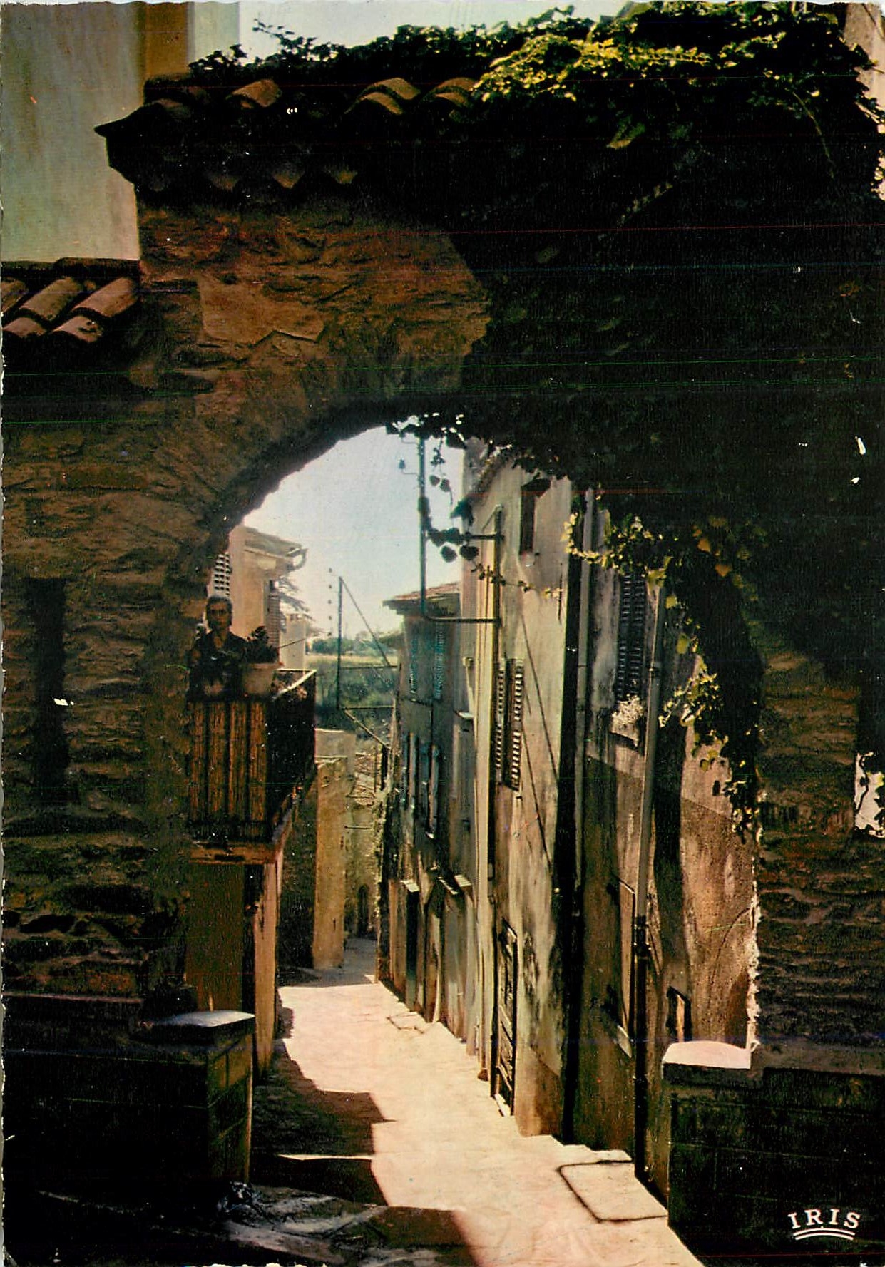 CPM Bormes les Mimosas Rue Rompicuou