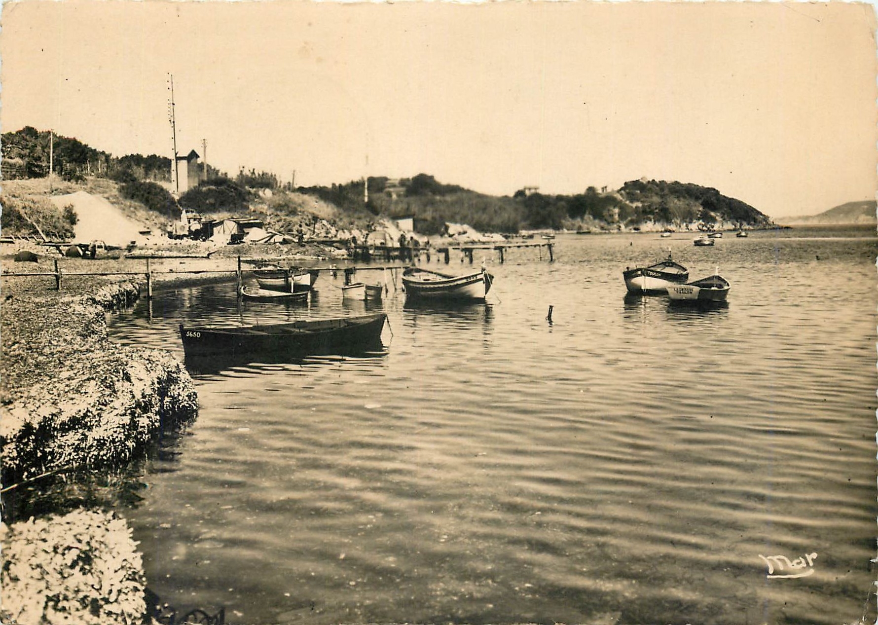 CPM Ciens Var Port de la Madrague