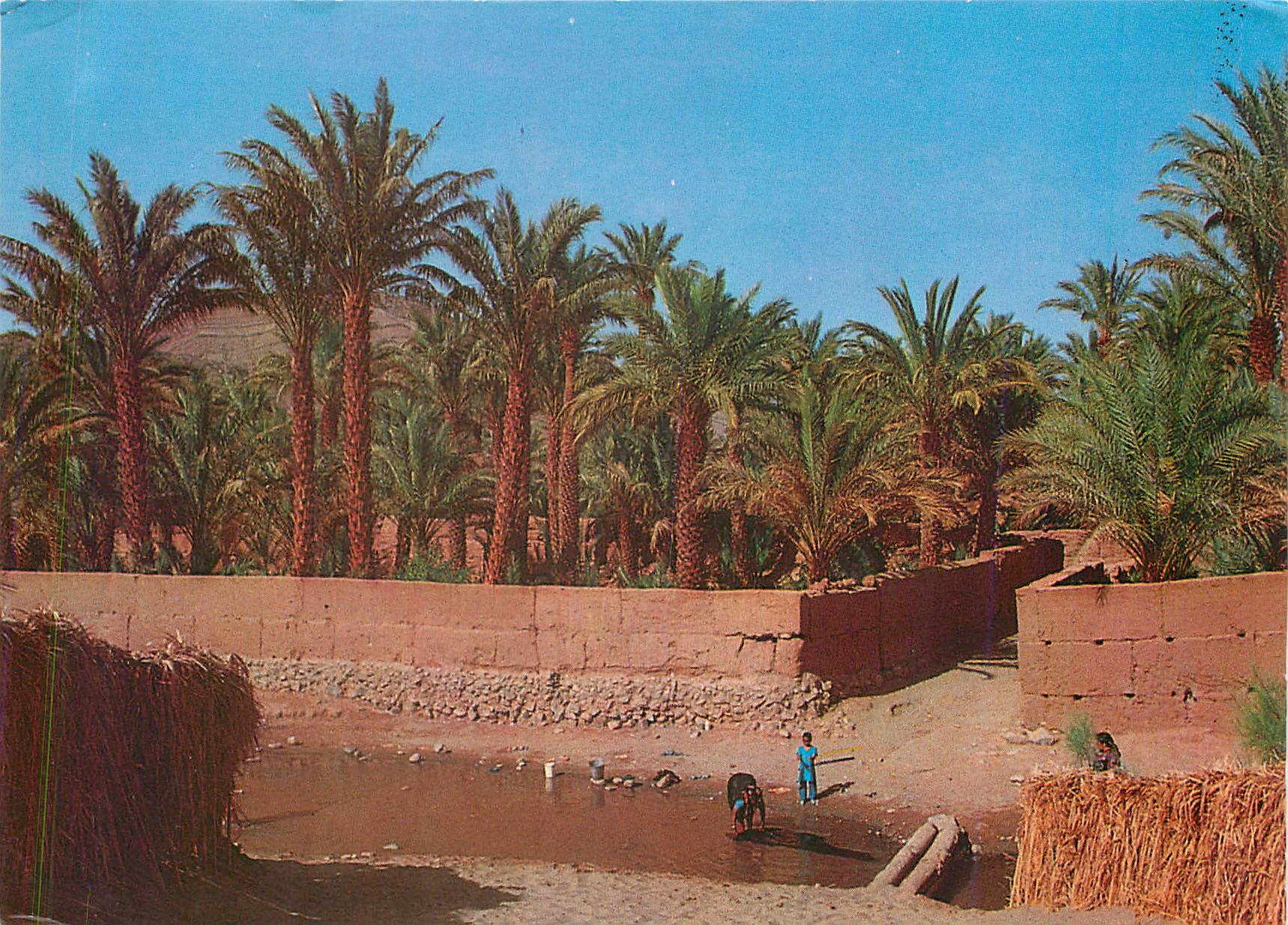 CPM Zagora Palmiers Amzrou 