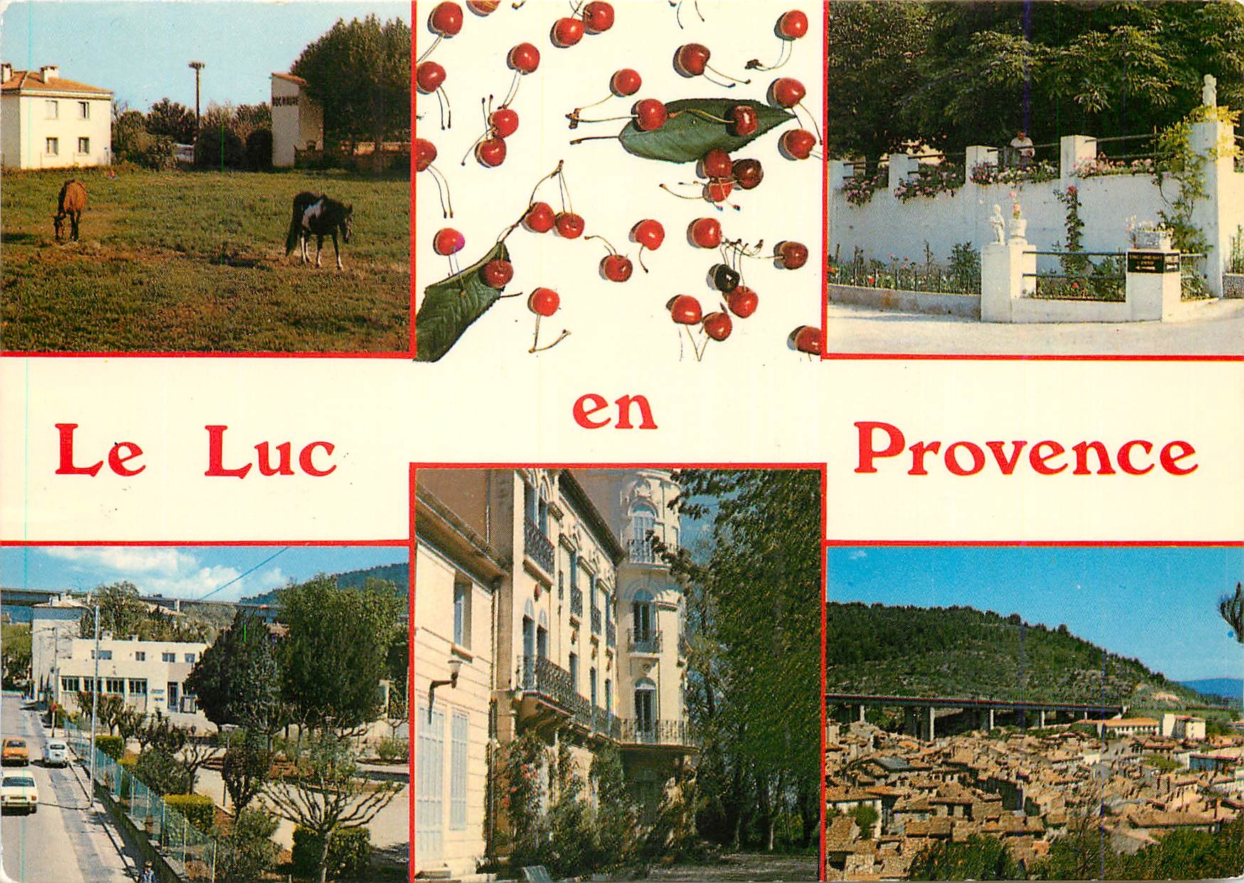 CPM Le Luc en Provence 