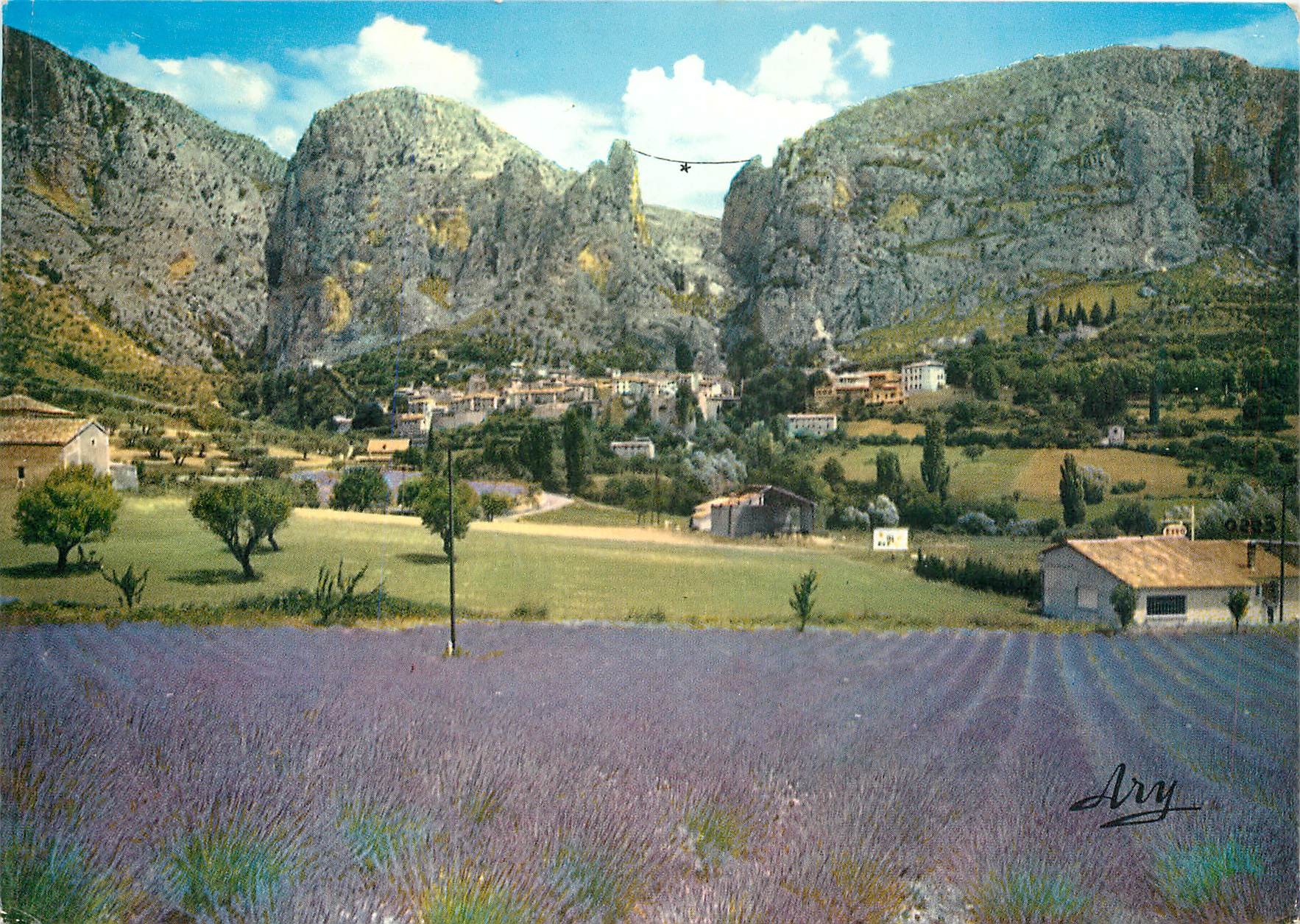 CPM Route de la Lavande Champ de Lavande a Moustiers Ste Marie
