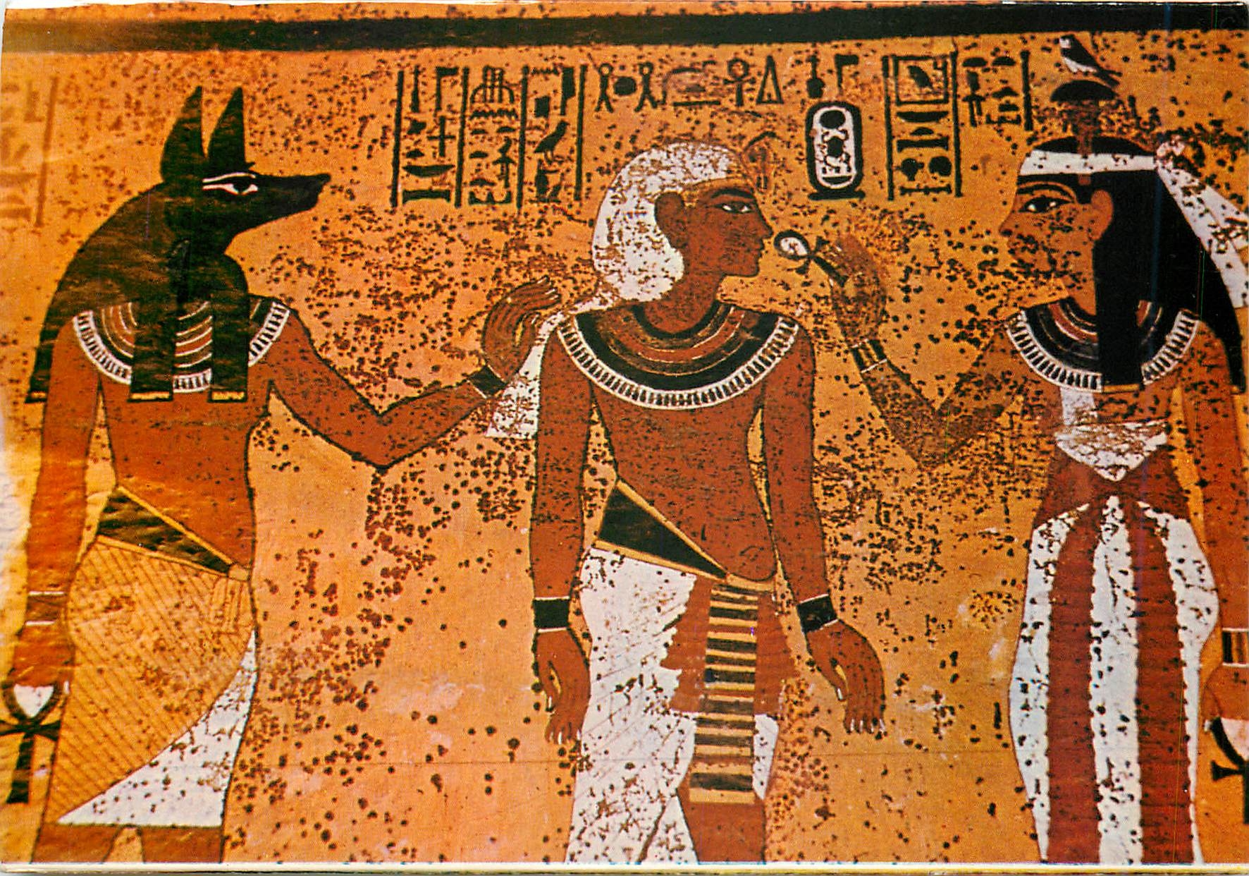 CPM Tomb of Tut Ankh Amun Le roi escorte par Anubis est gratifie de vie par Hathor maitresse de l'Oc
