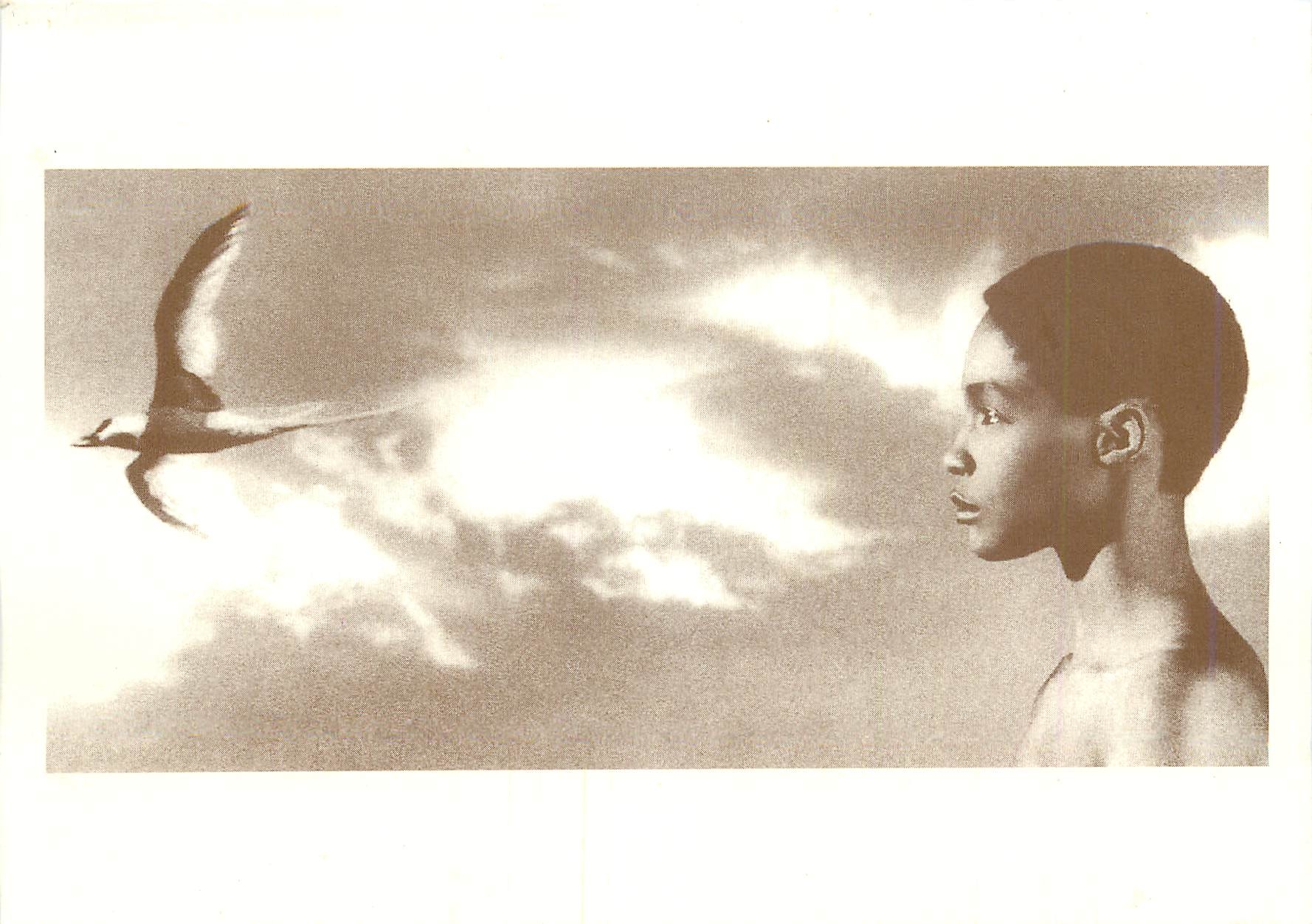 CPM L'enfant et l'oiseau 