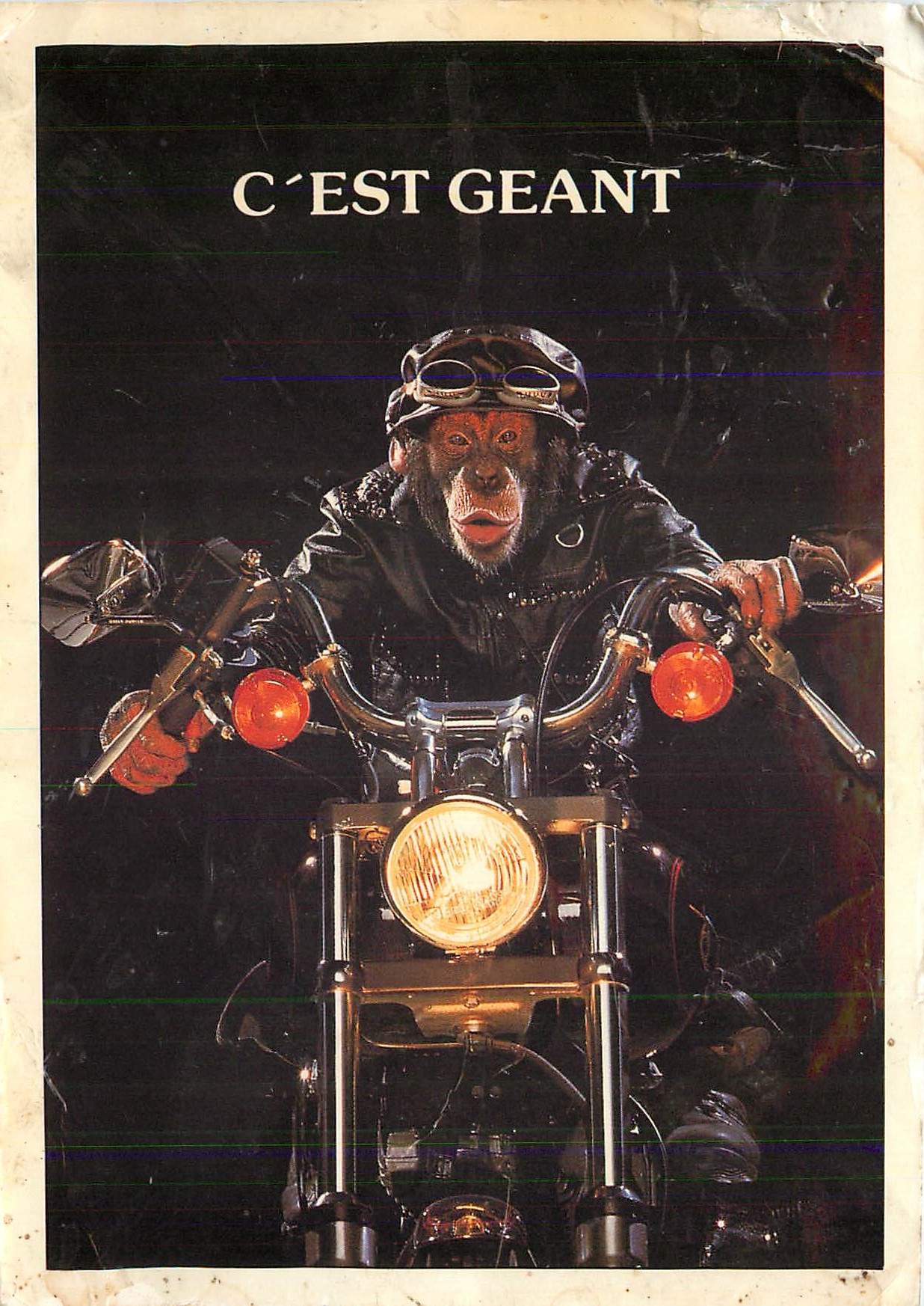 CPM C'est Geant Singe Moto