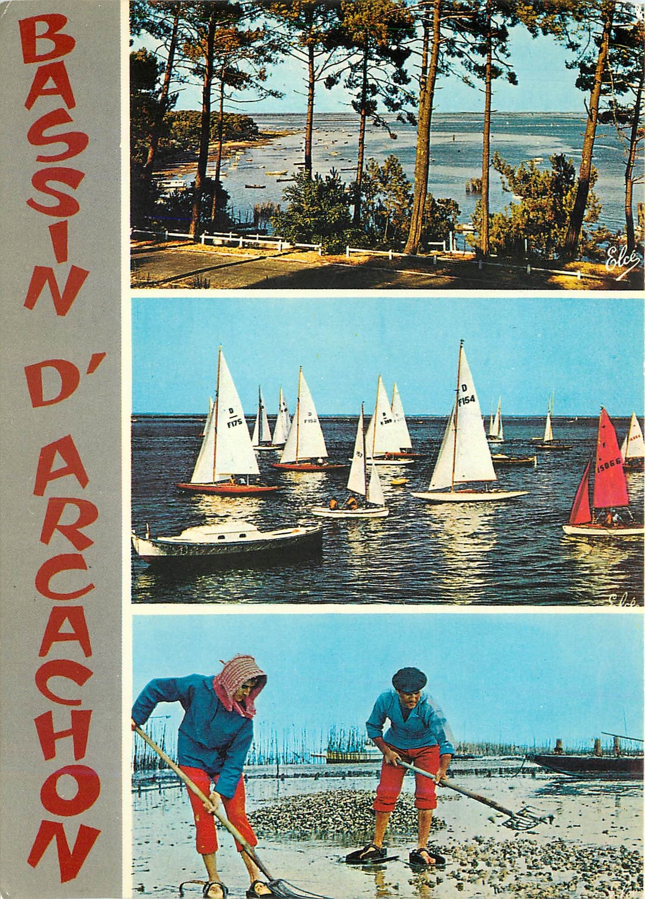 CPM Bassin d'Arcachon de haut en bas Echappee sur le Bassin Depart de Regates Le ramassage des huitr