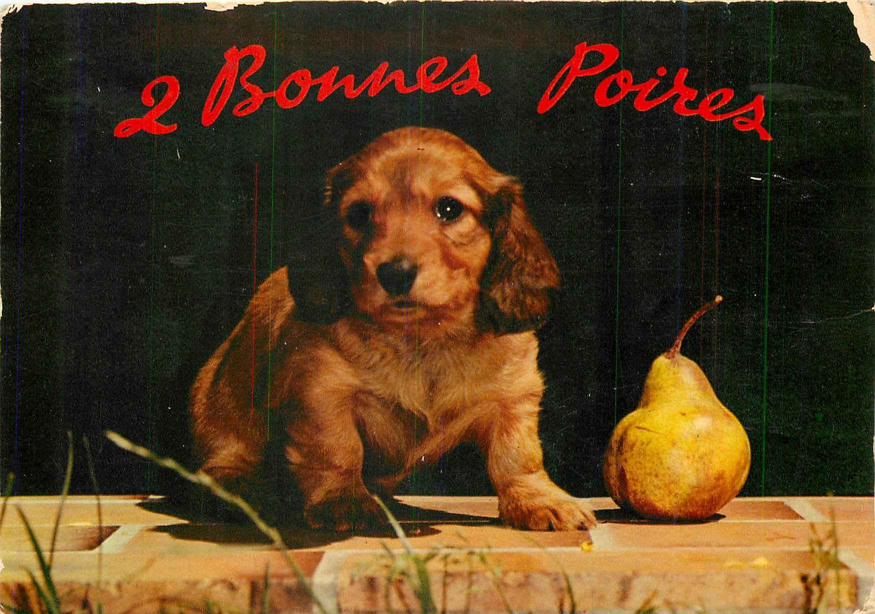 CPM Bonnes Poires 