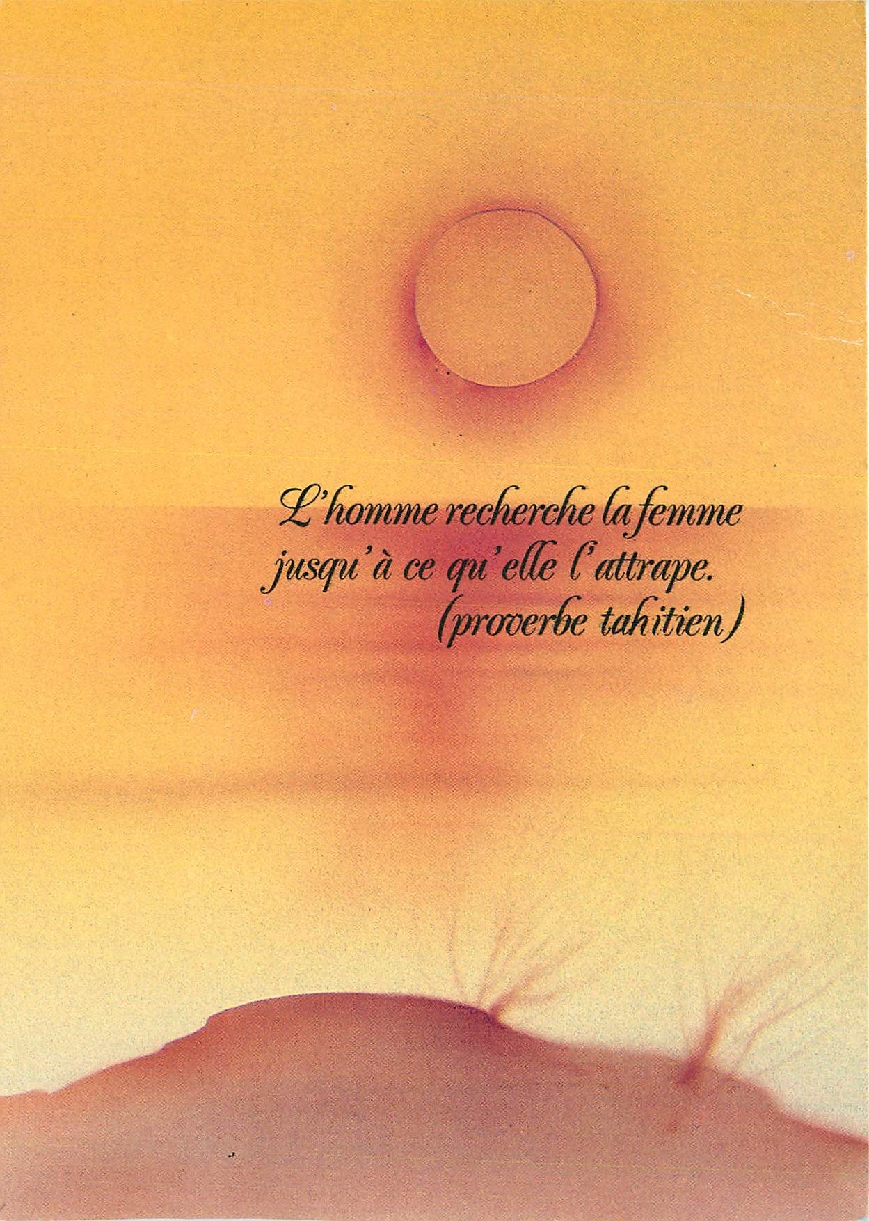 CPM Poesie Artificial flavor 