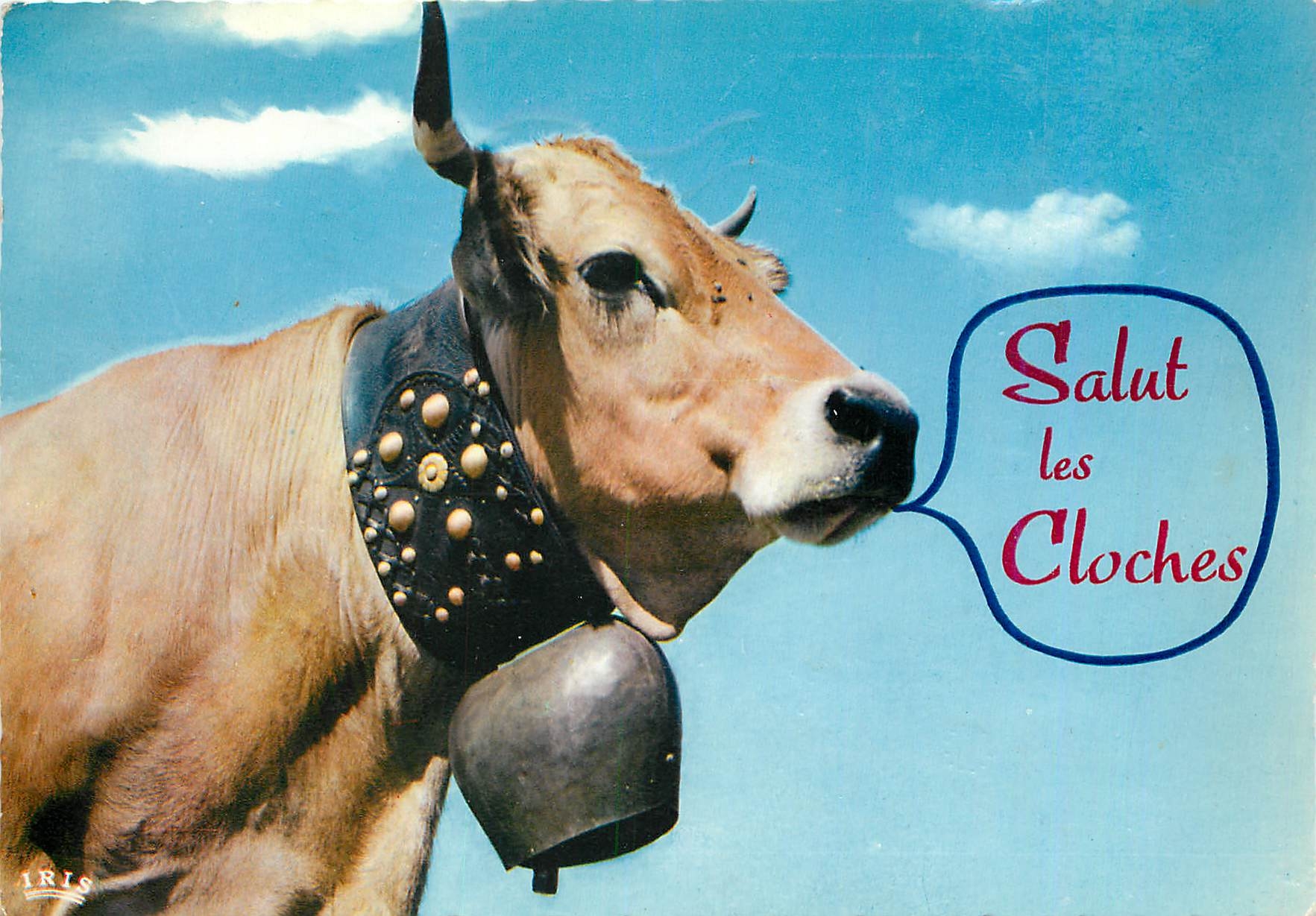 CPM Salut des Cloches Vache