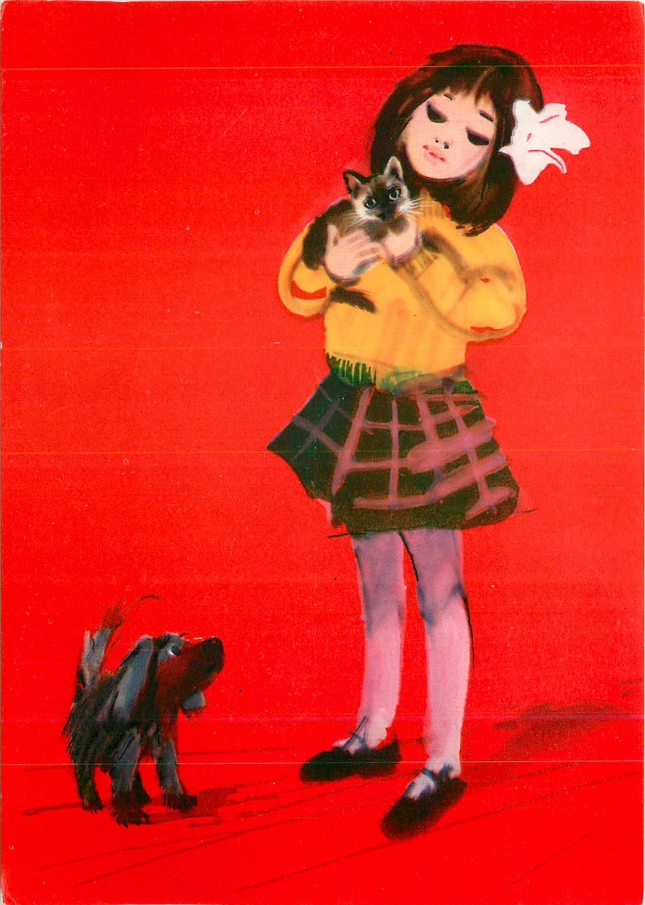 CPM Polish Airlines Aviation Avion Chat Chien