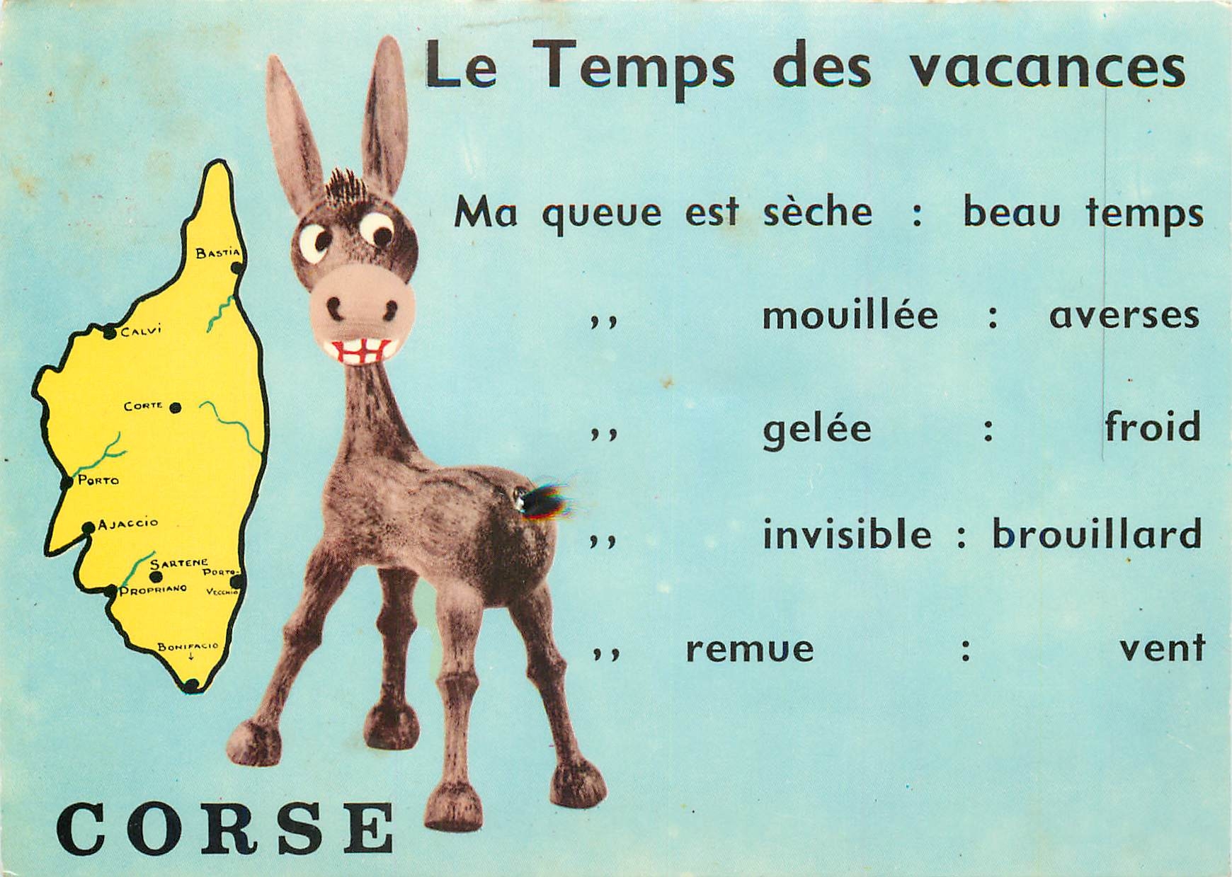 CPM Corse Le Temps des Vacances Ane Mule