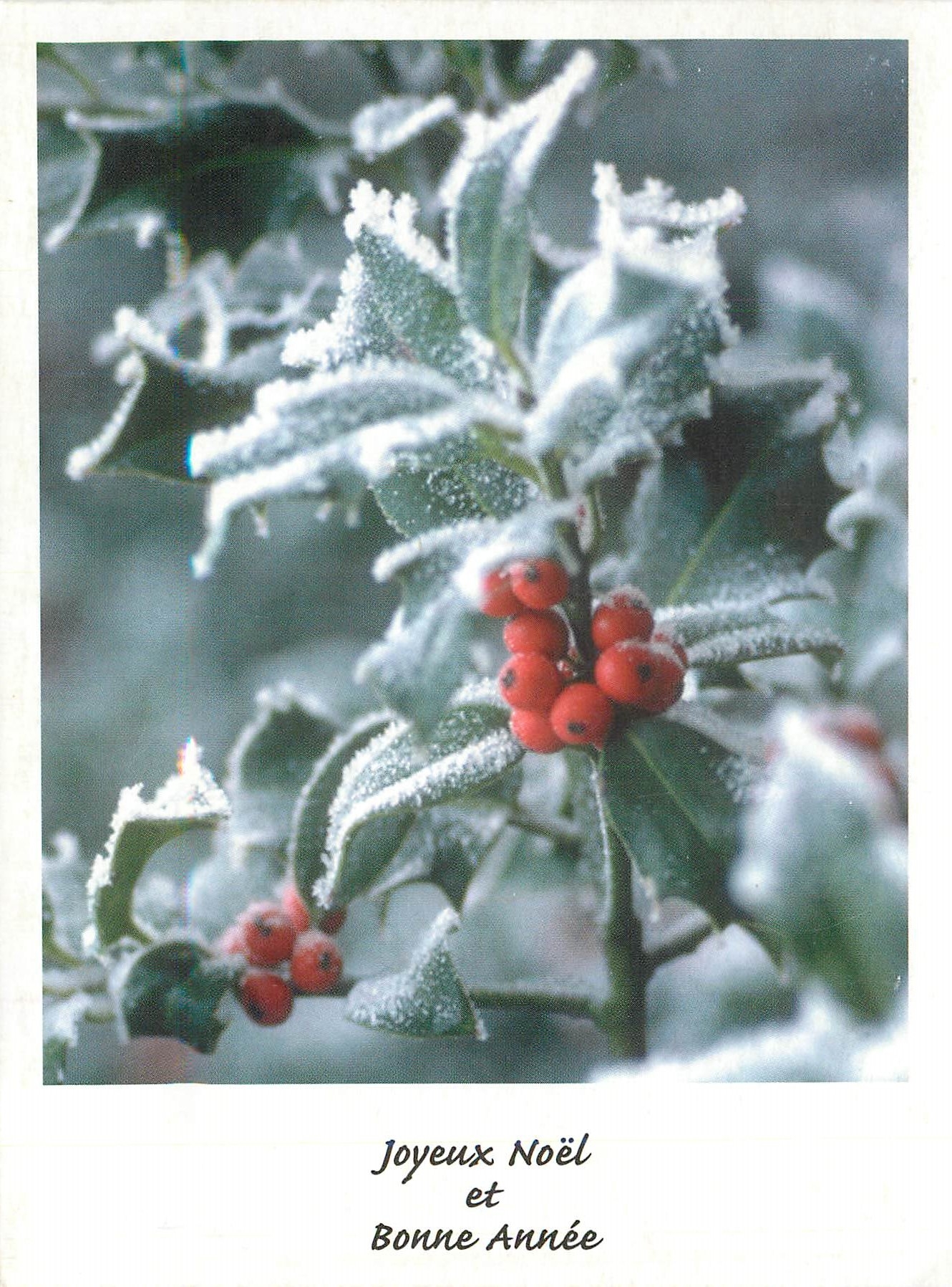 CPM Joyeux Noel et Bonne Annee 