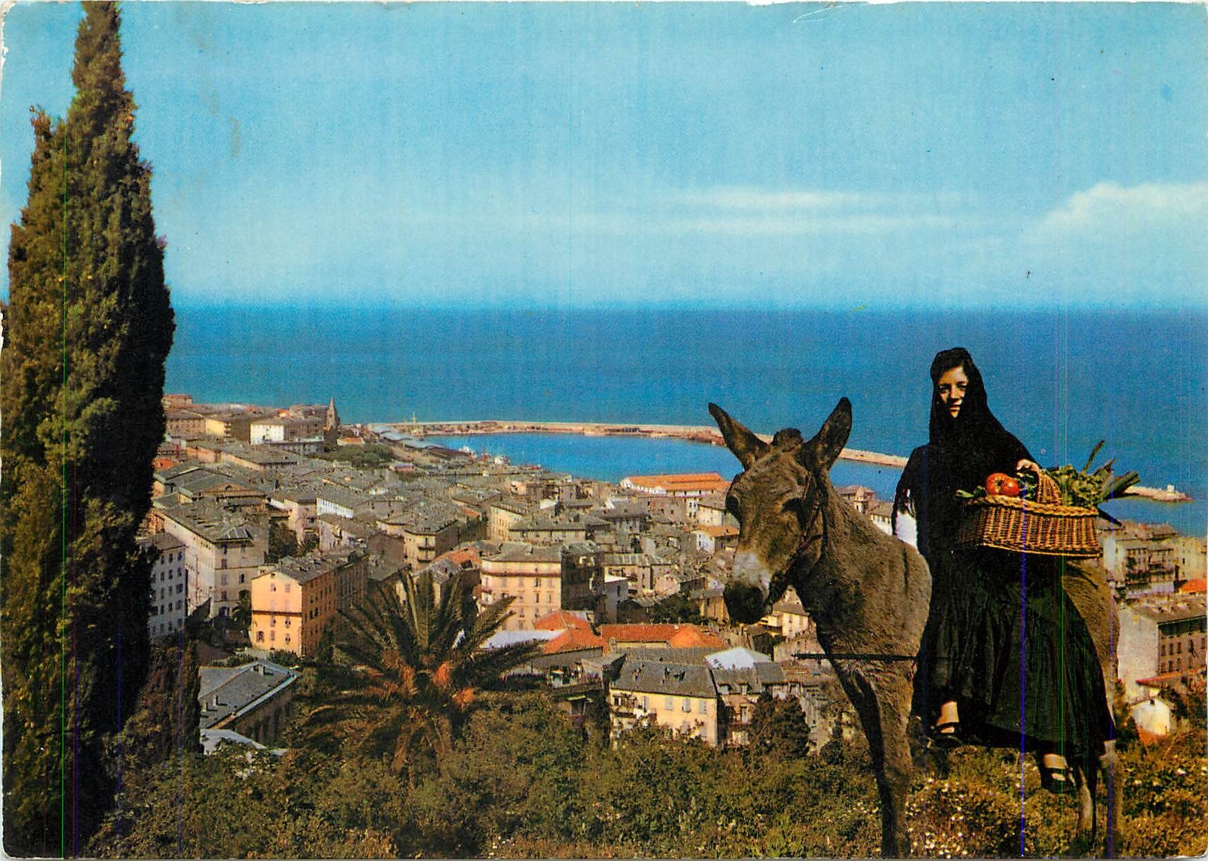 CPM Corse Ane Mule