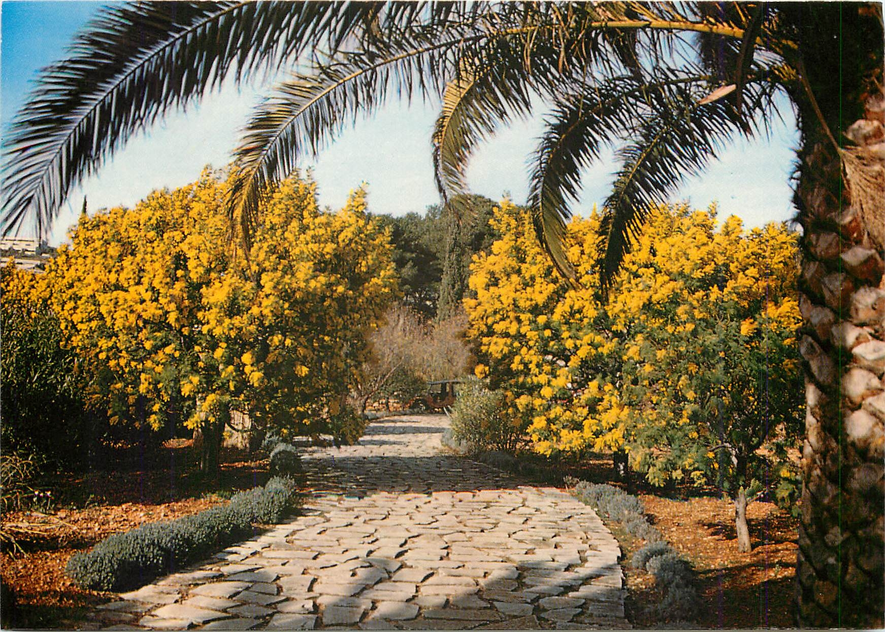 CPM Souvenir de la cote Varoise