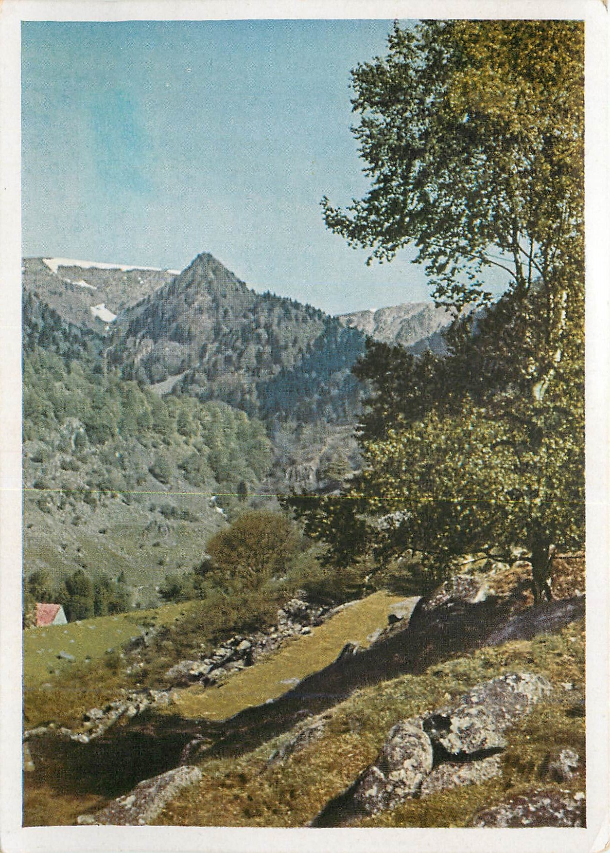 CPM Munstertal Im Wormsatal