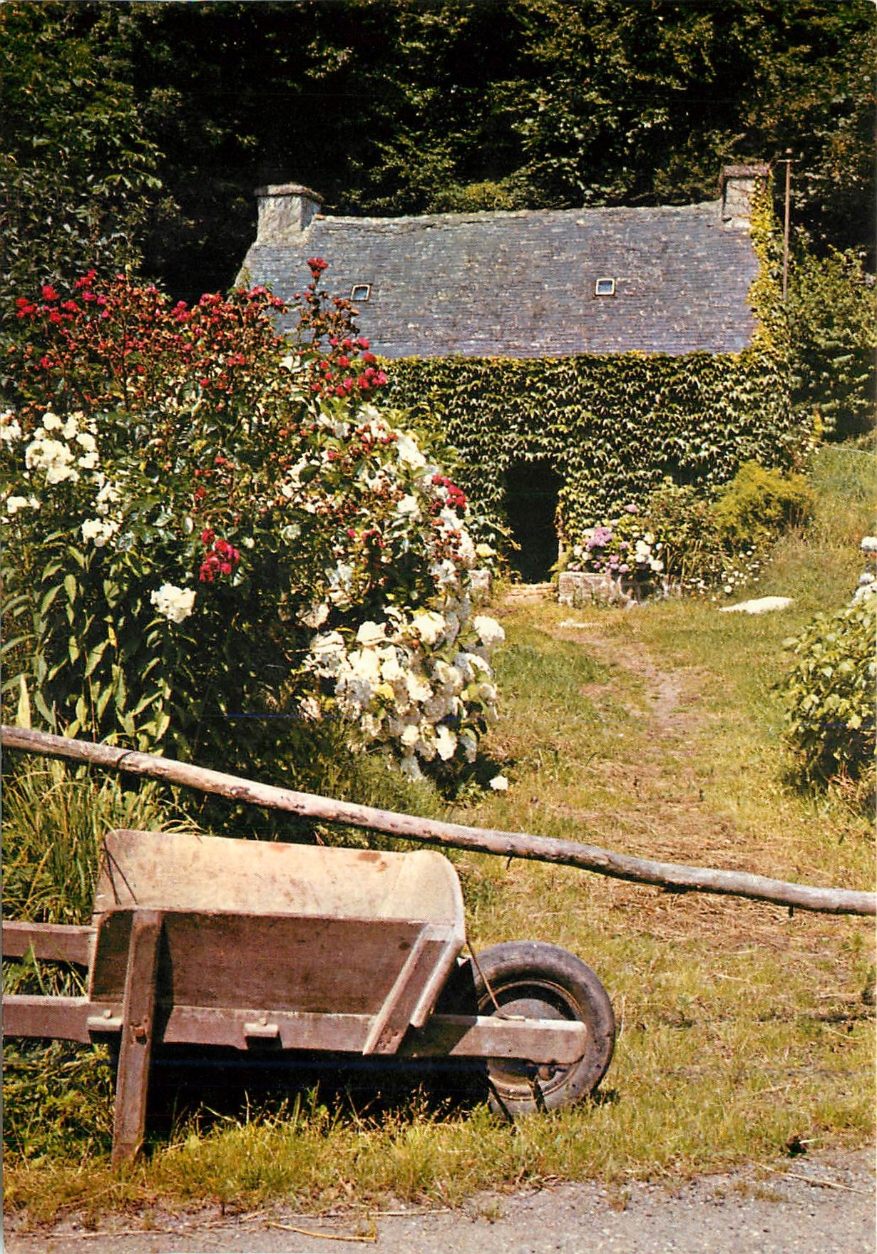 CPM Breizh Va zi bihan ma petite maison
