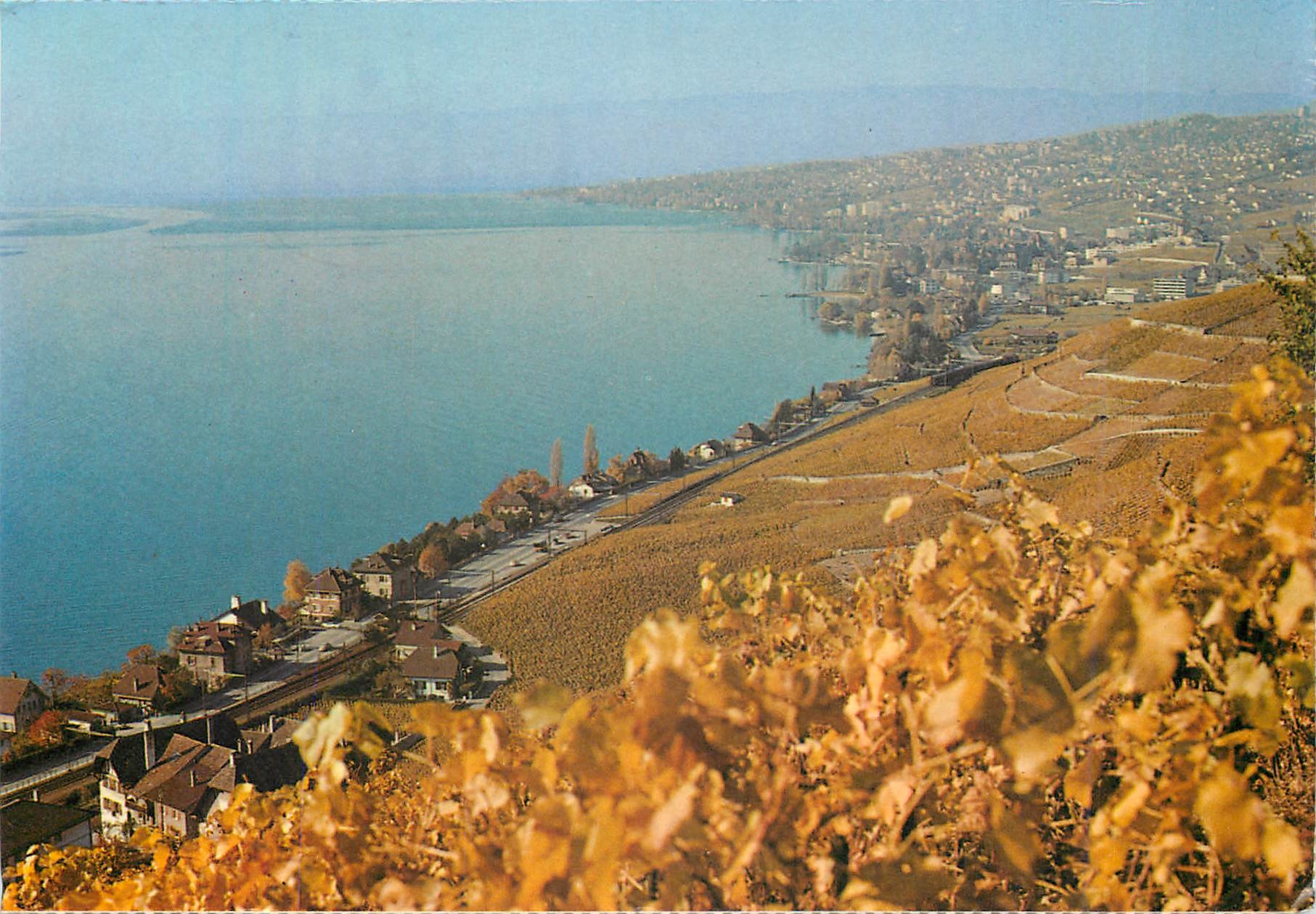 CPM Lausanne Depuis les vignobles de laucaux