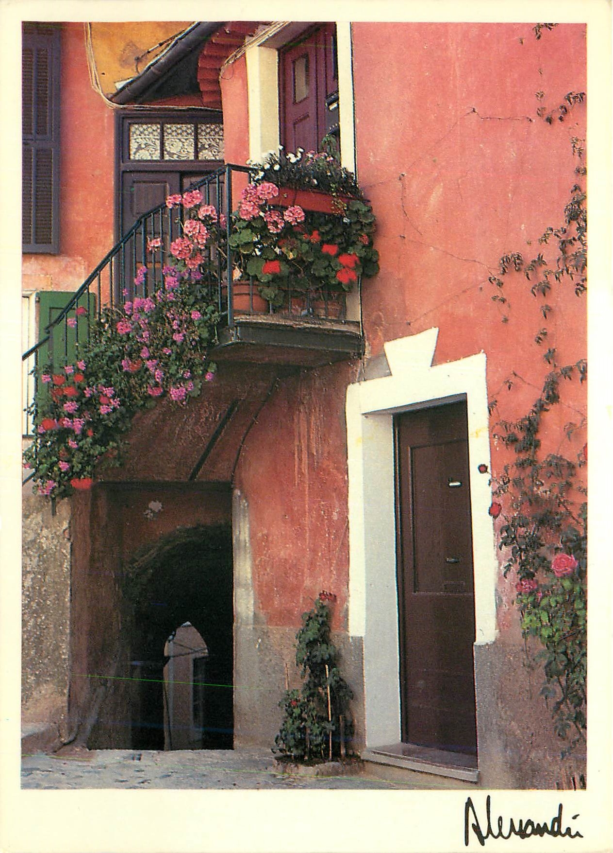 CPM Images Lumieres de Provence Fleurs de balcon