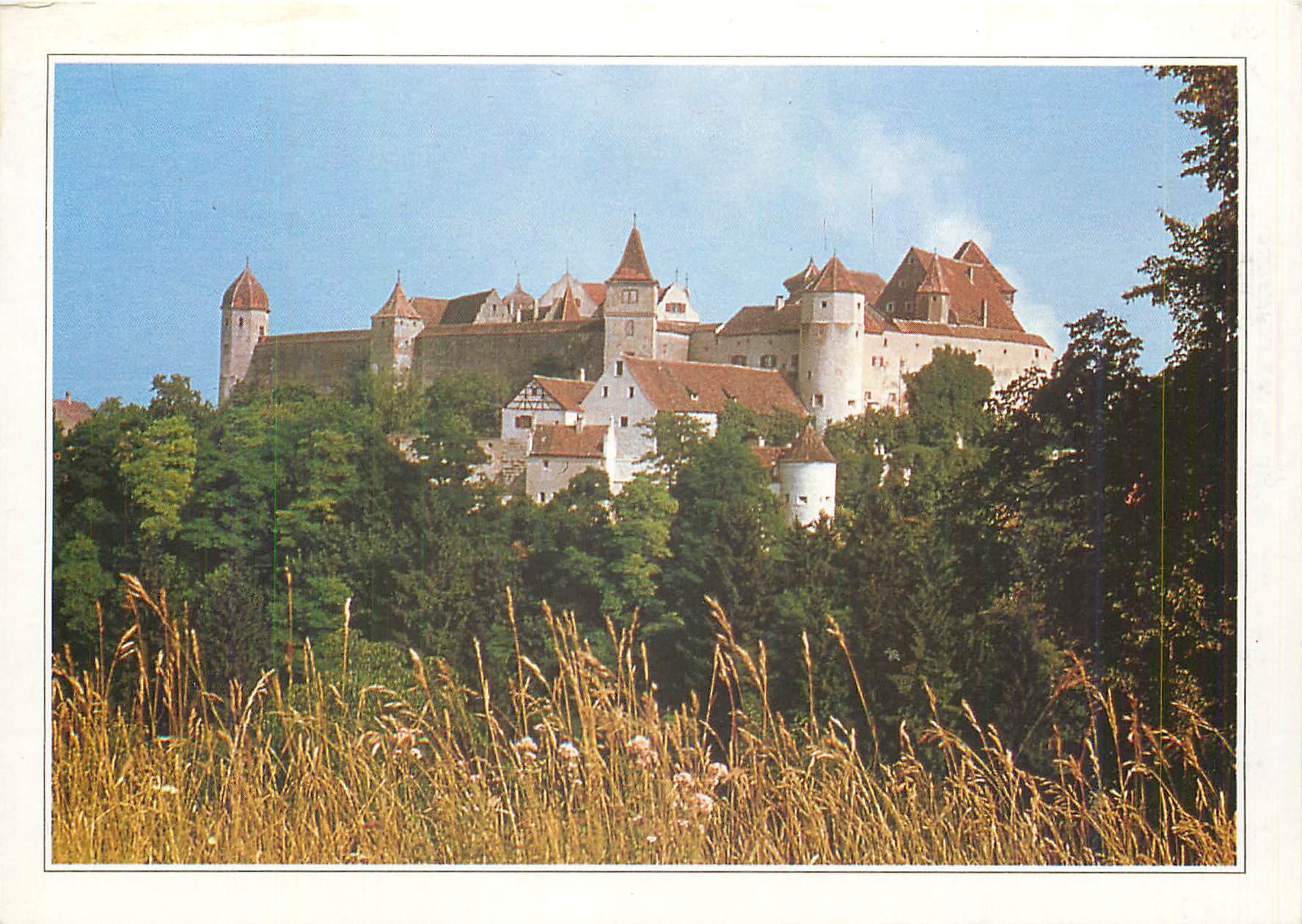 CPM Allemagne le chateau fort d'Harburg