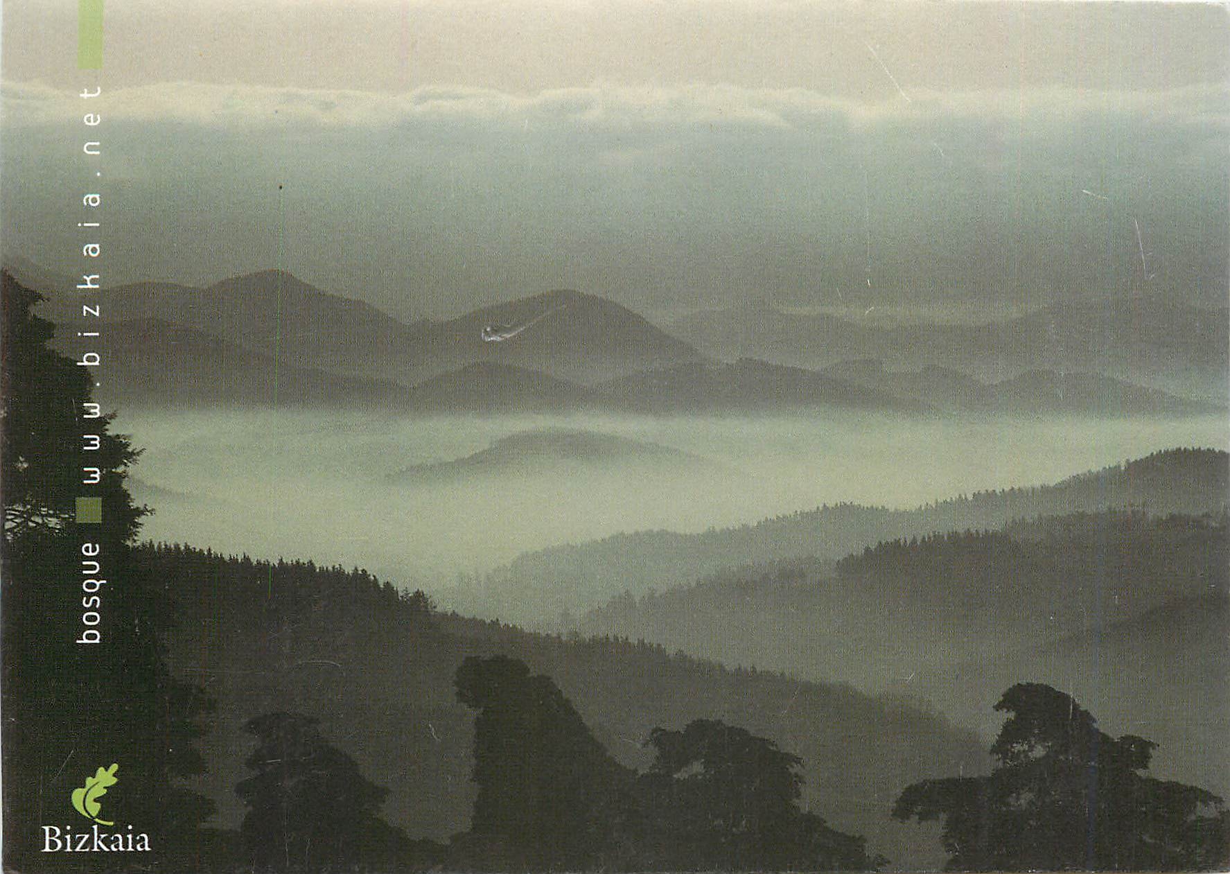 CPM Bosque Bijkaia.net