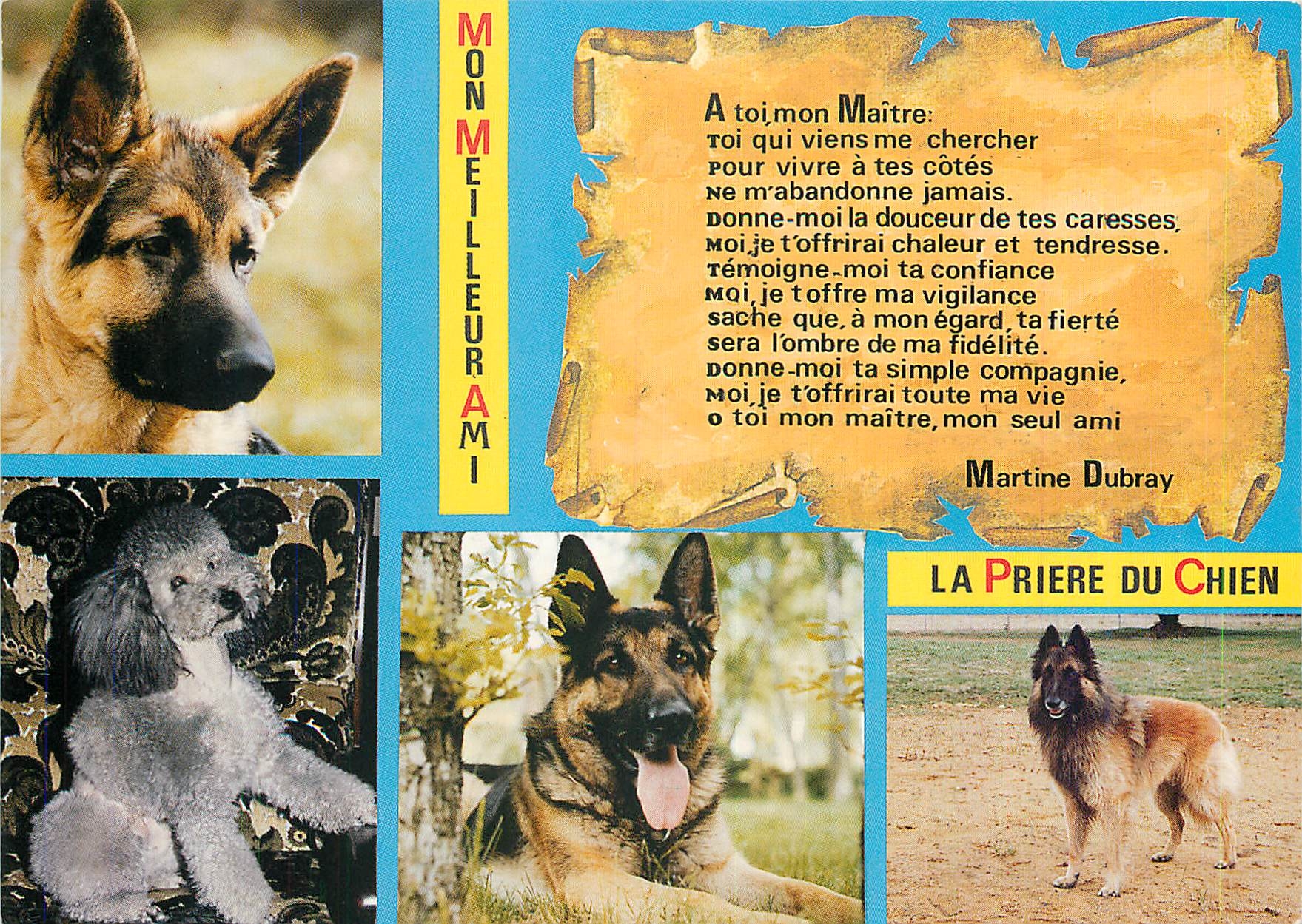 CPM La Priere du chien Berger allemand