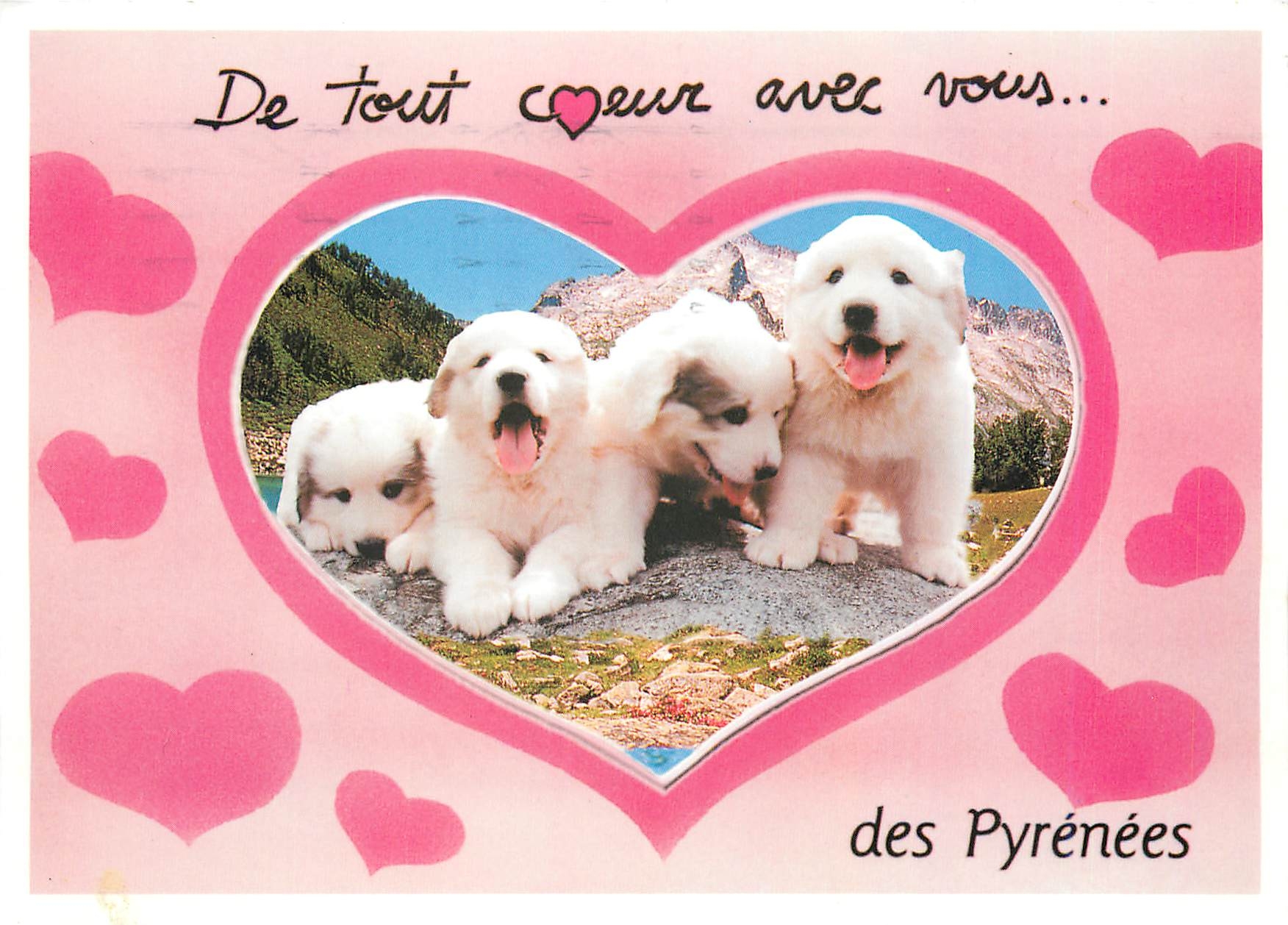 CPM Hautes Pyrenees Chilots des Pyrenees
