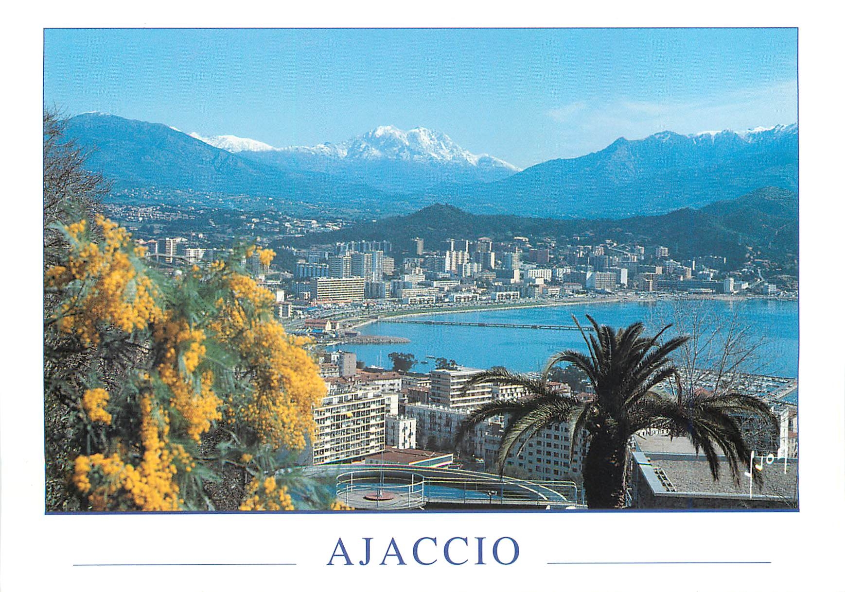 CPM La Corse Ile de Beaute Ajaccio Vue sur la Ville nouvelle Au loin le Monte d'Oro 