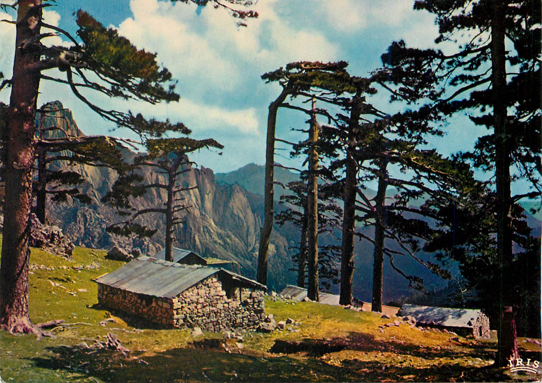 CPM Charmes et Couleurs de la Corse Col de Bavella 