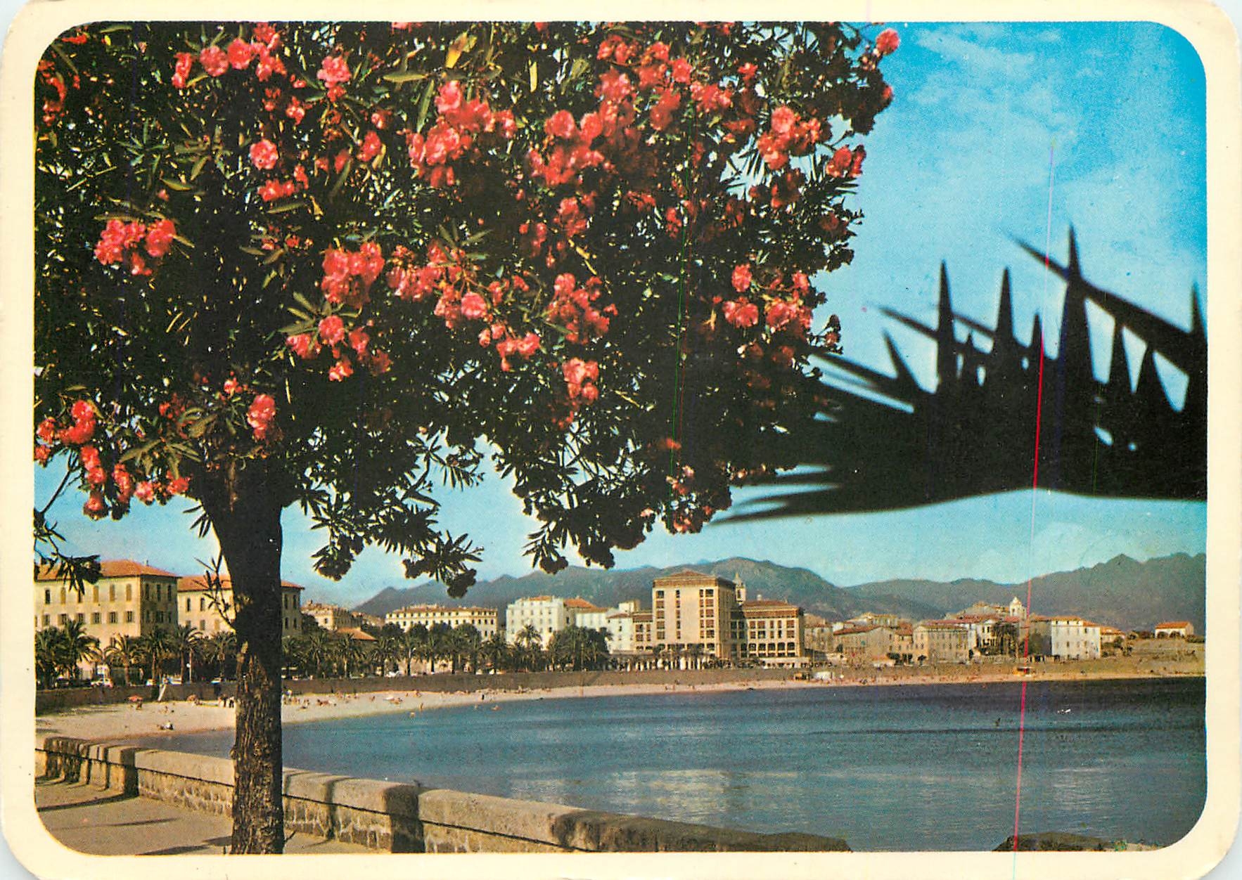 CPM Charmes et Couleurs de la Corse Ajaccio Le Boulevard Lantiv et la Citadelle 