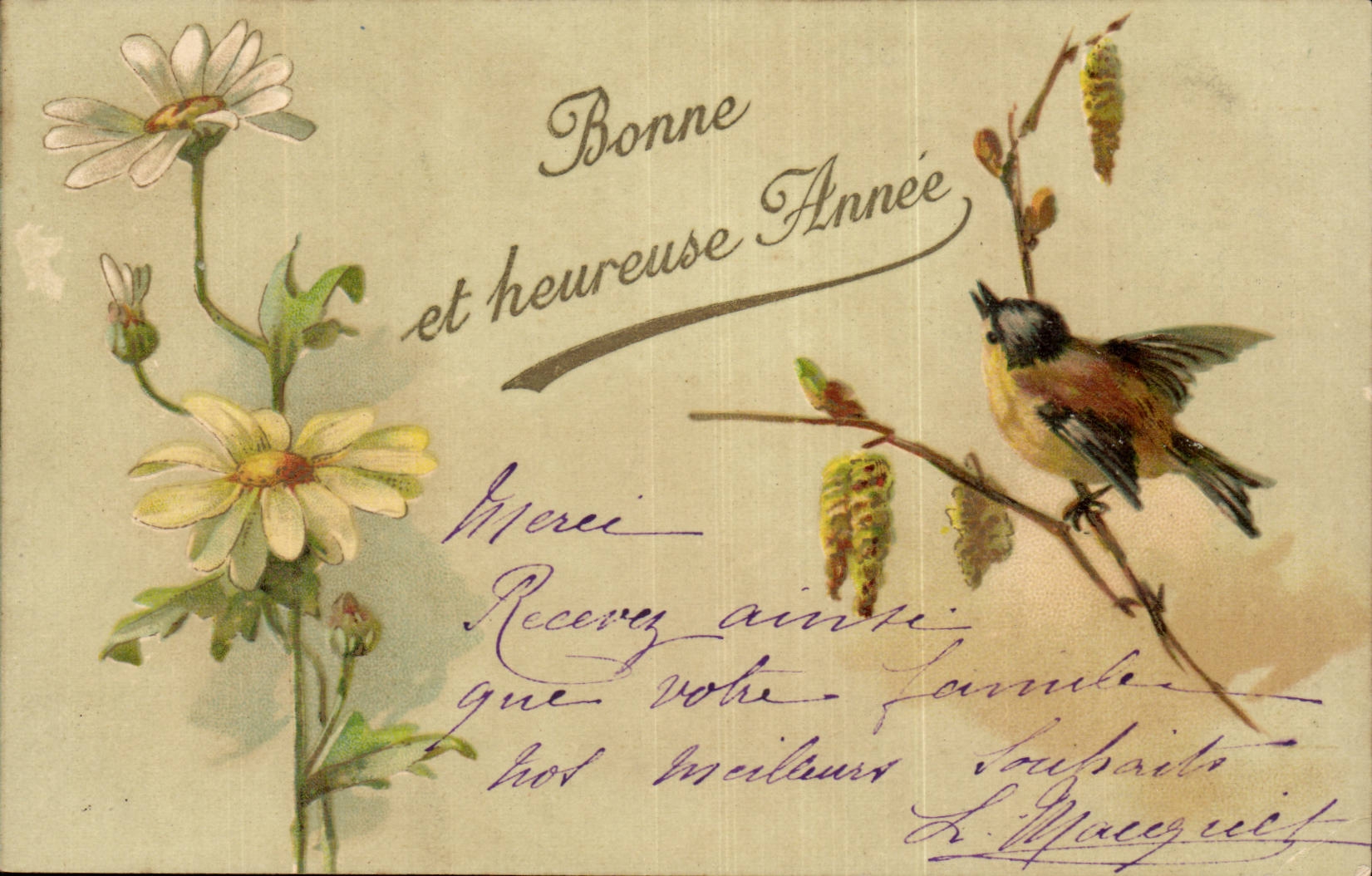 CPA Good Fantasy and happy year